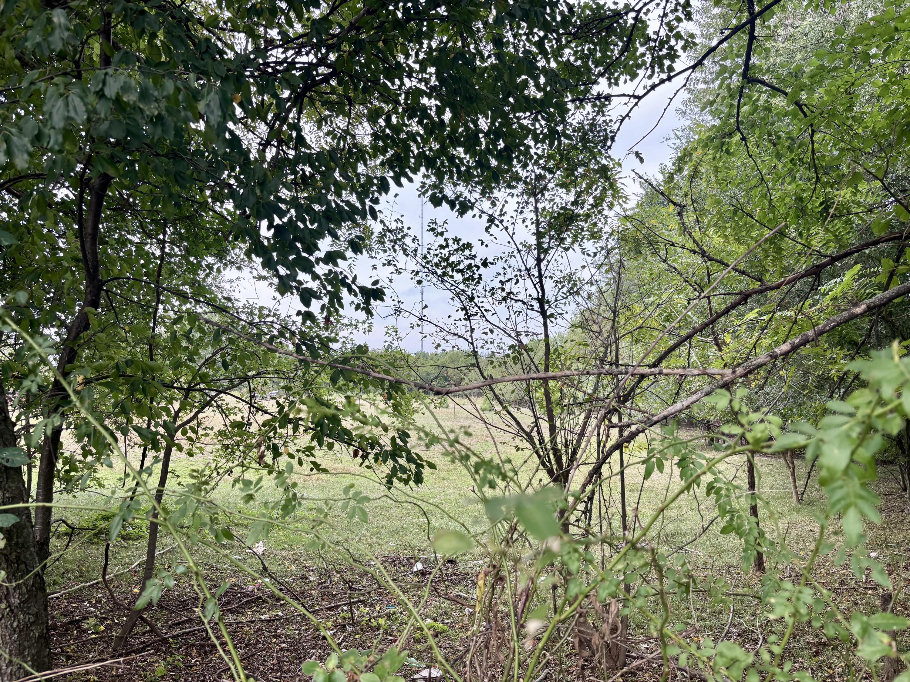 Photo 6 - Land for sale – 439 W Hines   Republic, MO