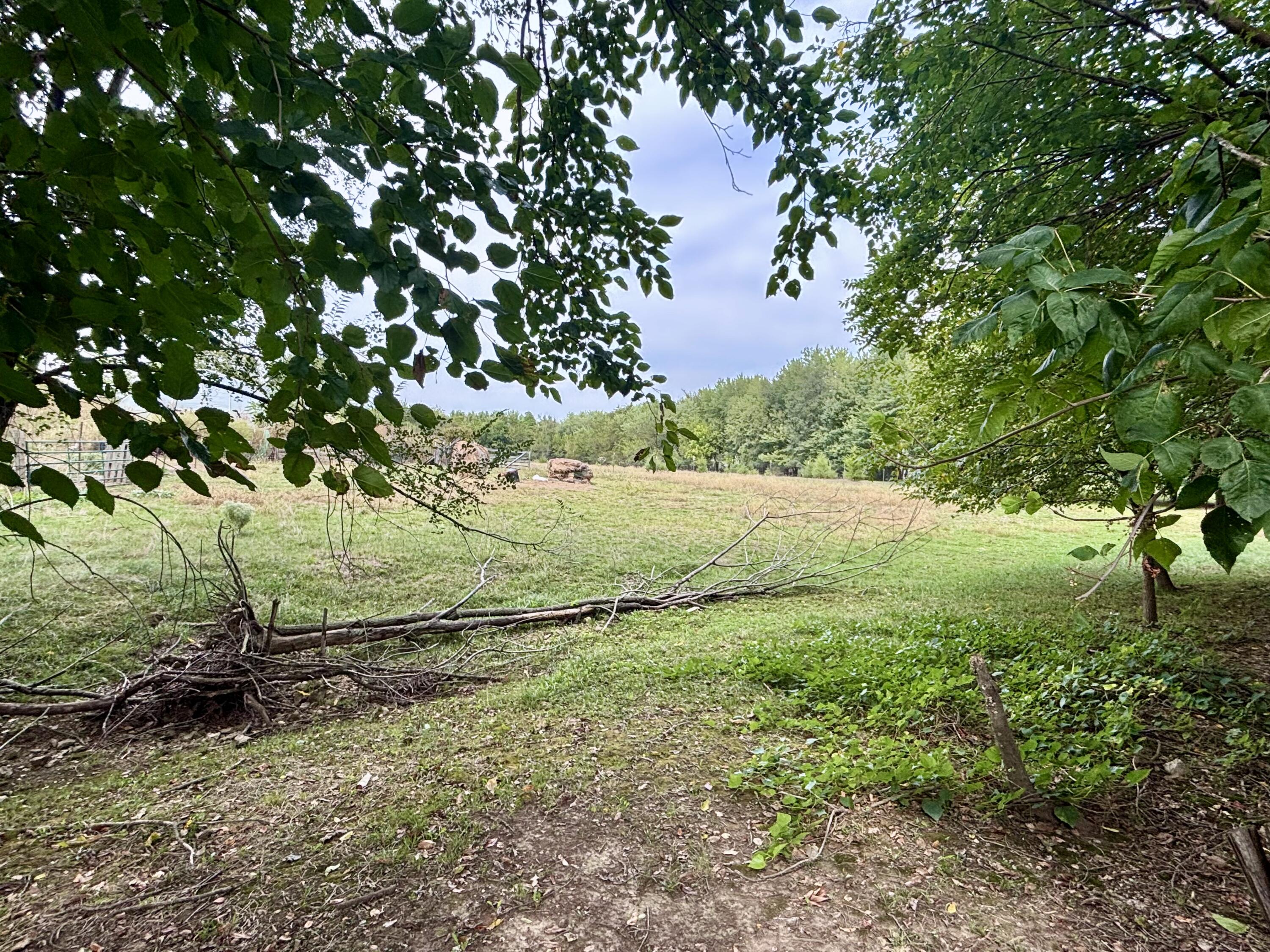 Photo 5 - Land for sale – 439 W Hines   Republic, MO