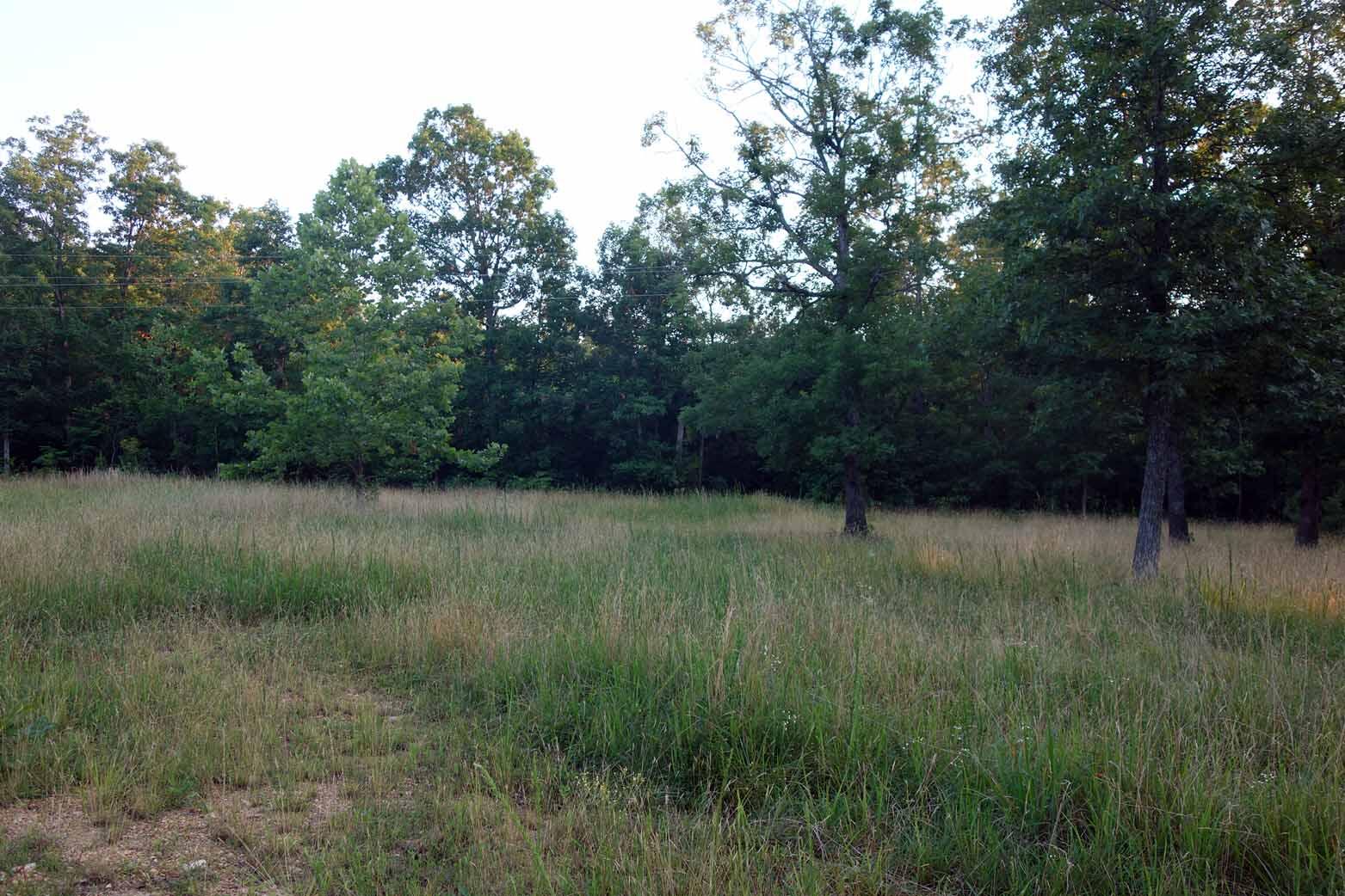 Photo 20 - Land for sale – 000  County Road 309   Eminence, MO