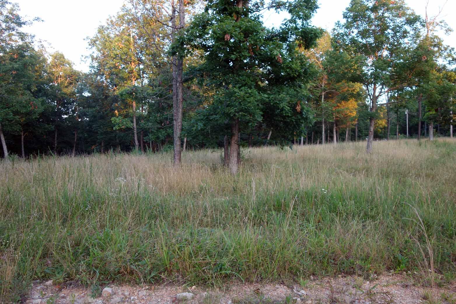 Photo 18 - Land for sale – 000  County Road 309   Eminence, MO