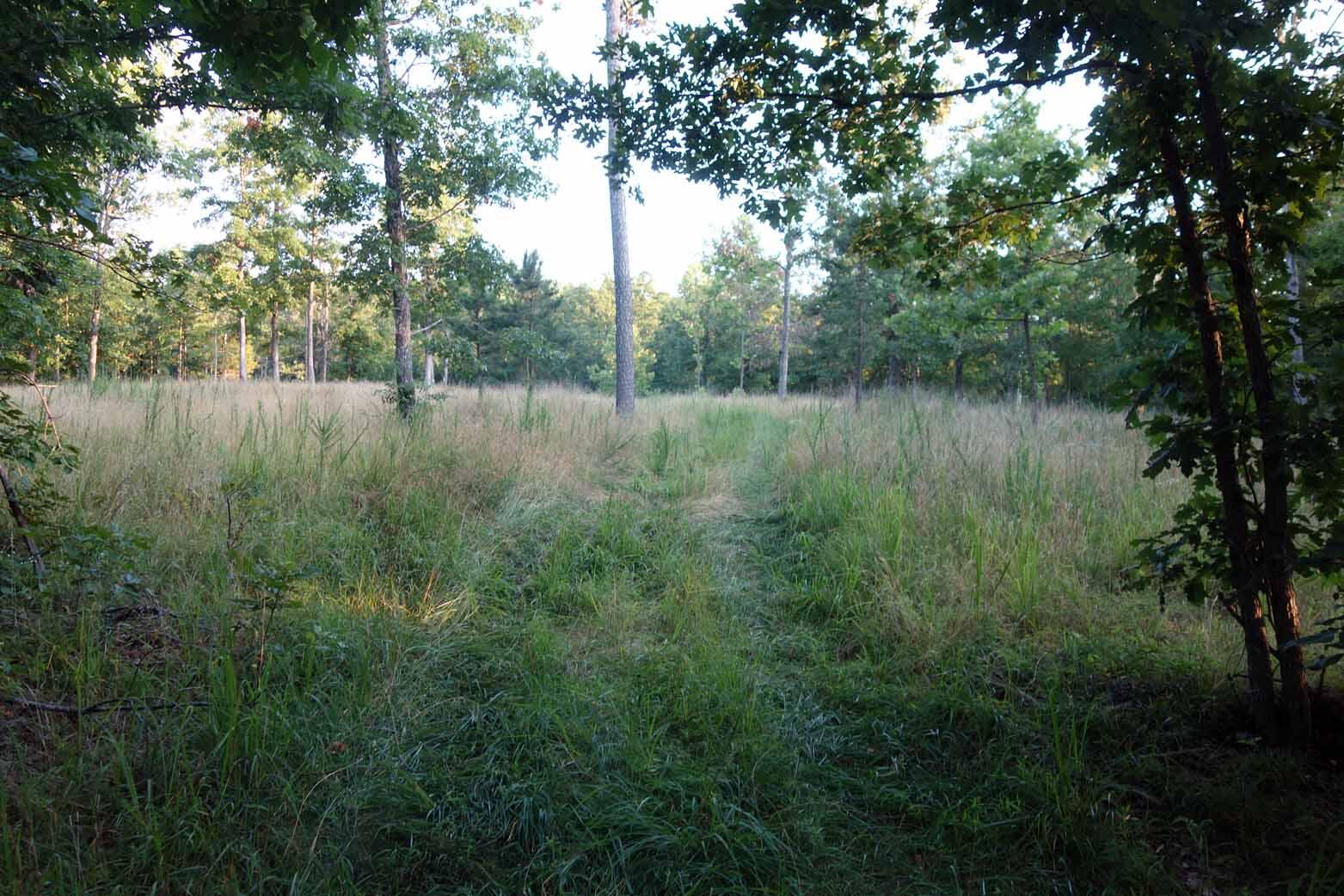 Photo 25 - Land for sale – 000  County Road 309   Eminence, MO