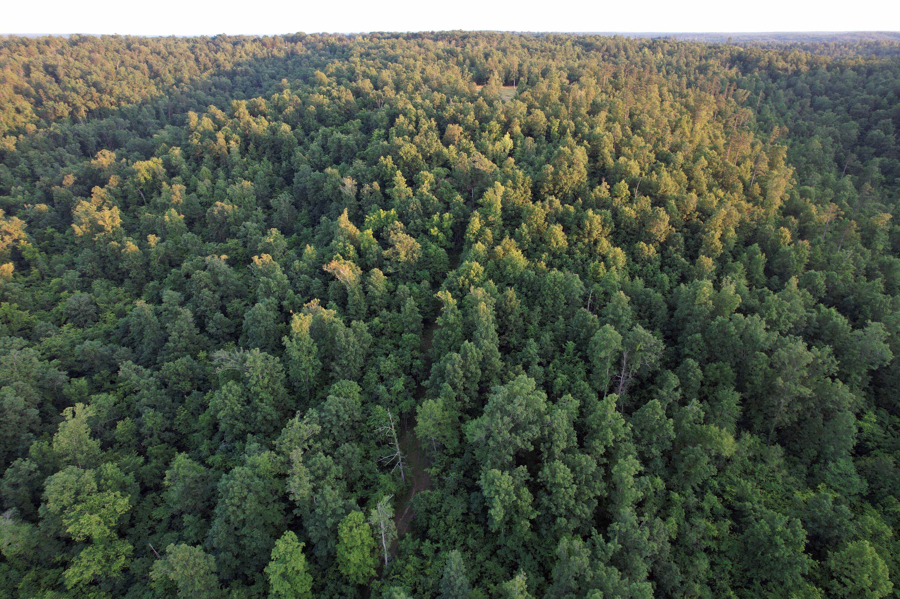 Photo 34 - Land for sale – 000  County Road 309   Eminence, MO