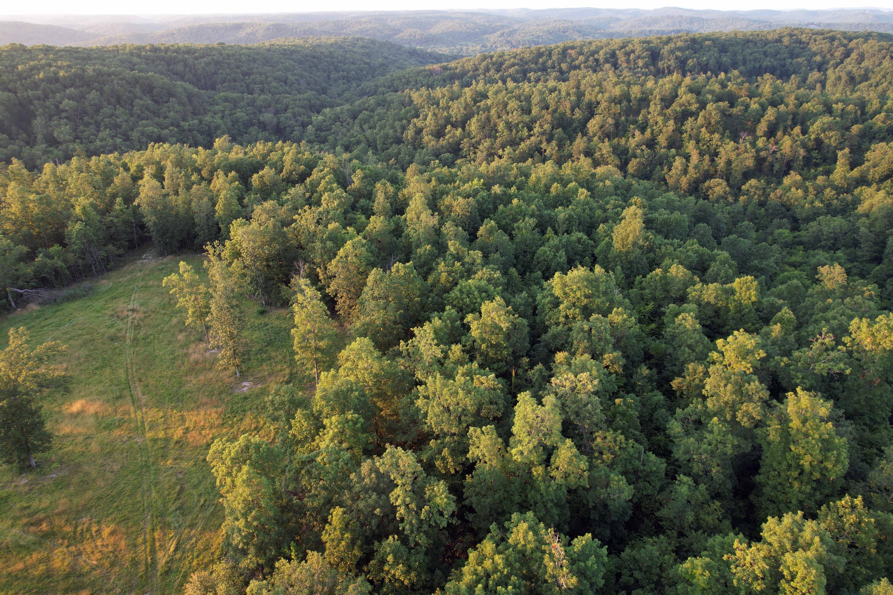 Photo 22 - Land for sale – 000  County Road 309   Eminence, MO