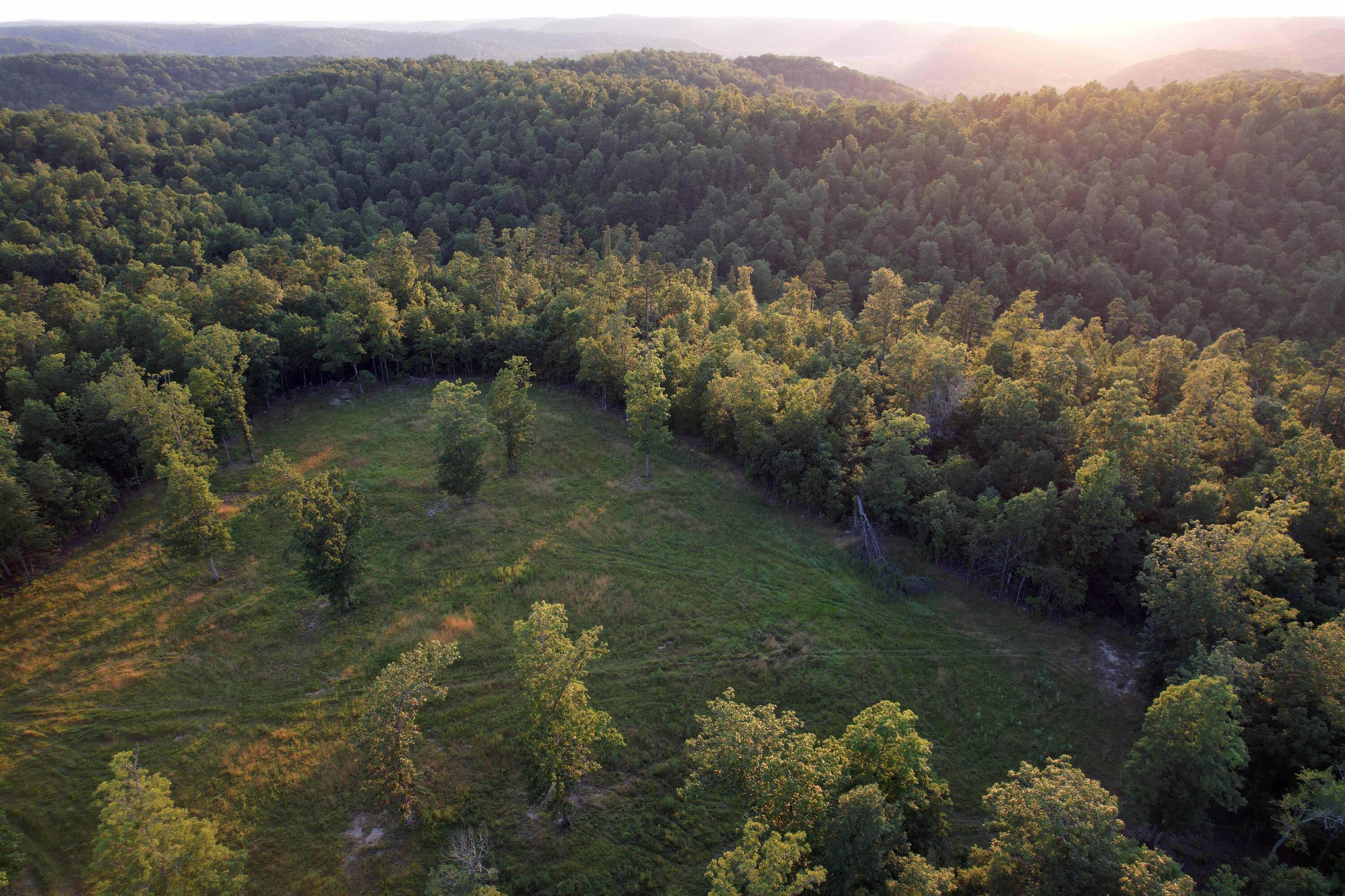 Photo 23 - Land for sale – 000  County Road 309   Eminence, MO