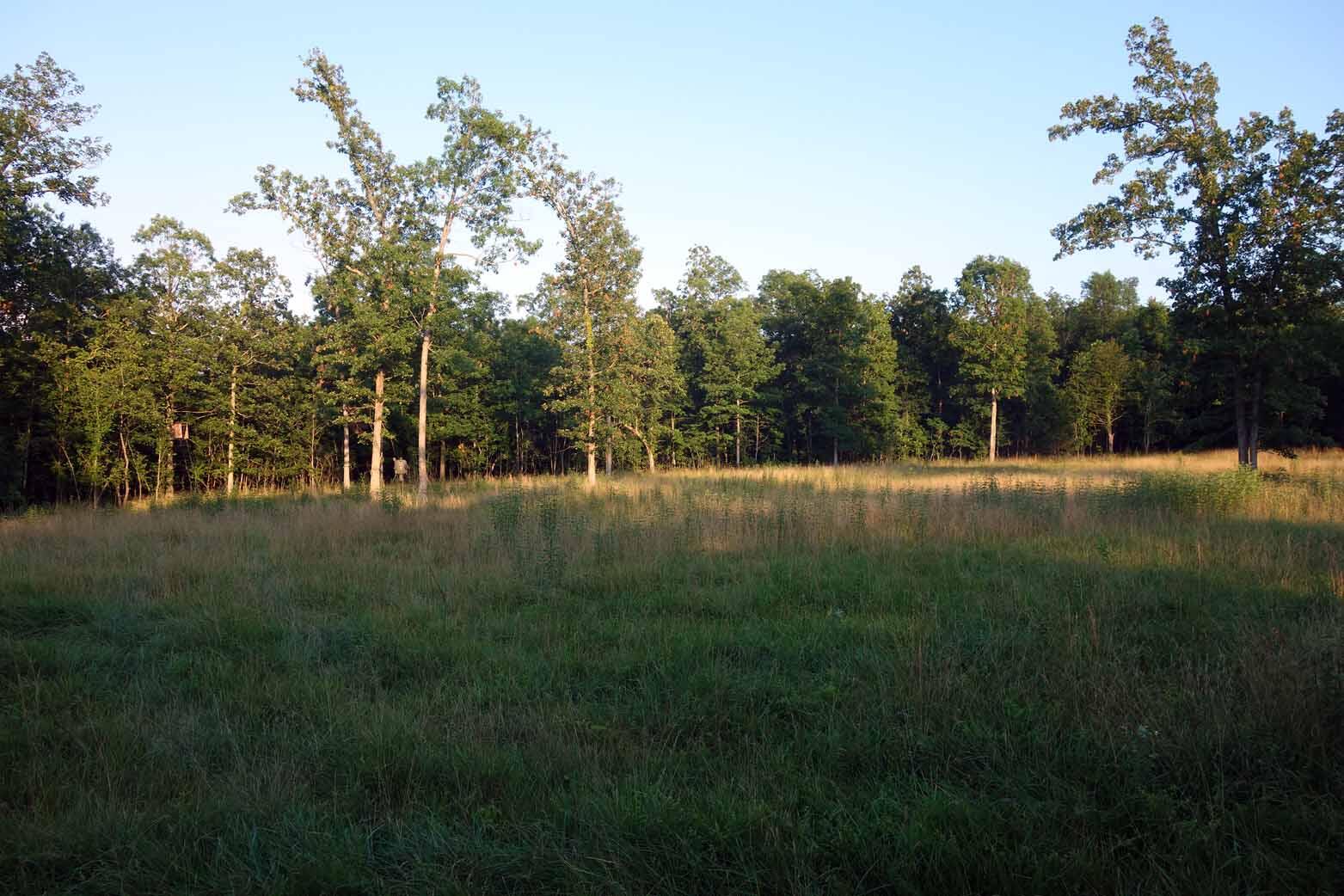Photo 27 - Land for sale – 000  County Road 309   Eminence, MO