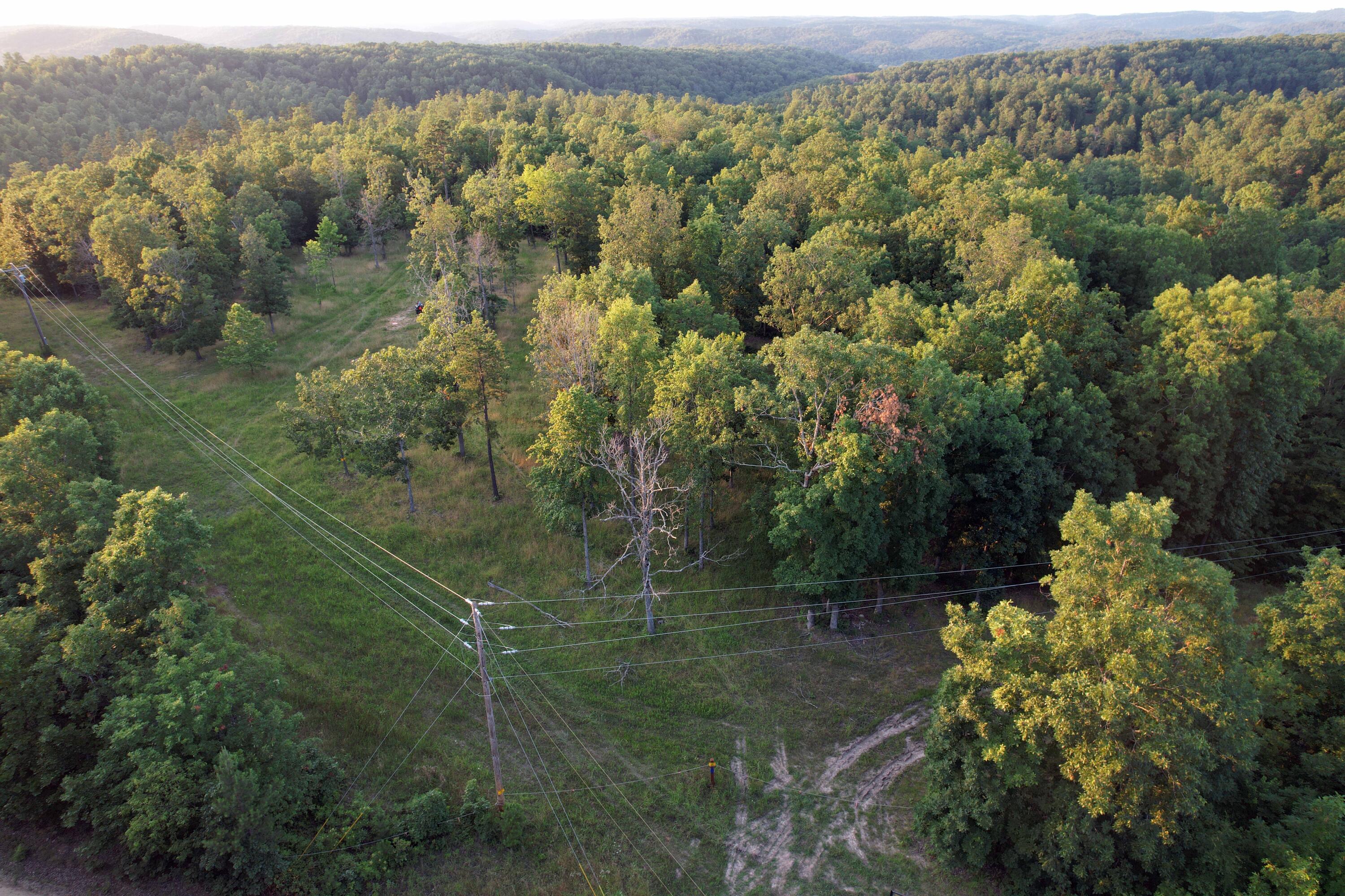 Photo 8 - Land for sale – 000  County Road 309   Eminence, MO