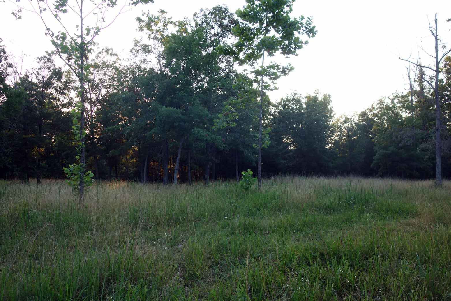 Photo 14 - Land for sale – 000  County Road 309   Eminence, MO