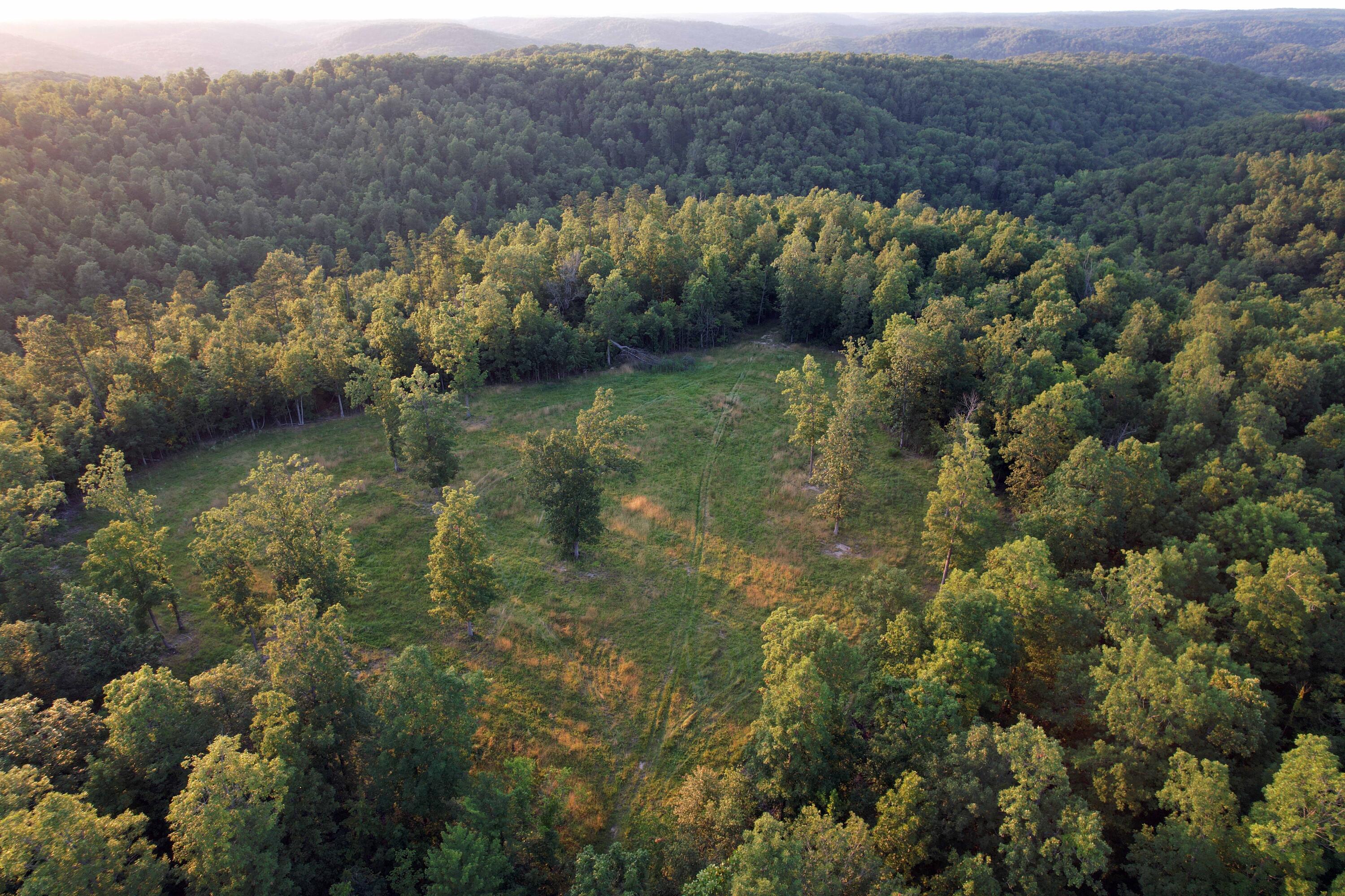 Photo 21 - Land for sale – 000  County Road 309   Eminence, MO