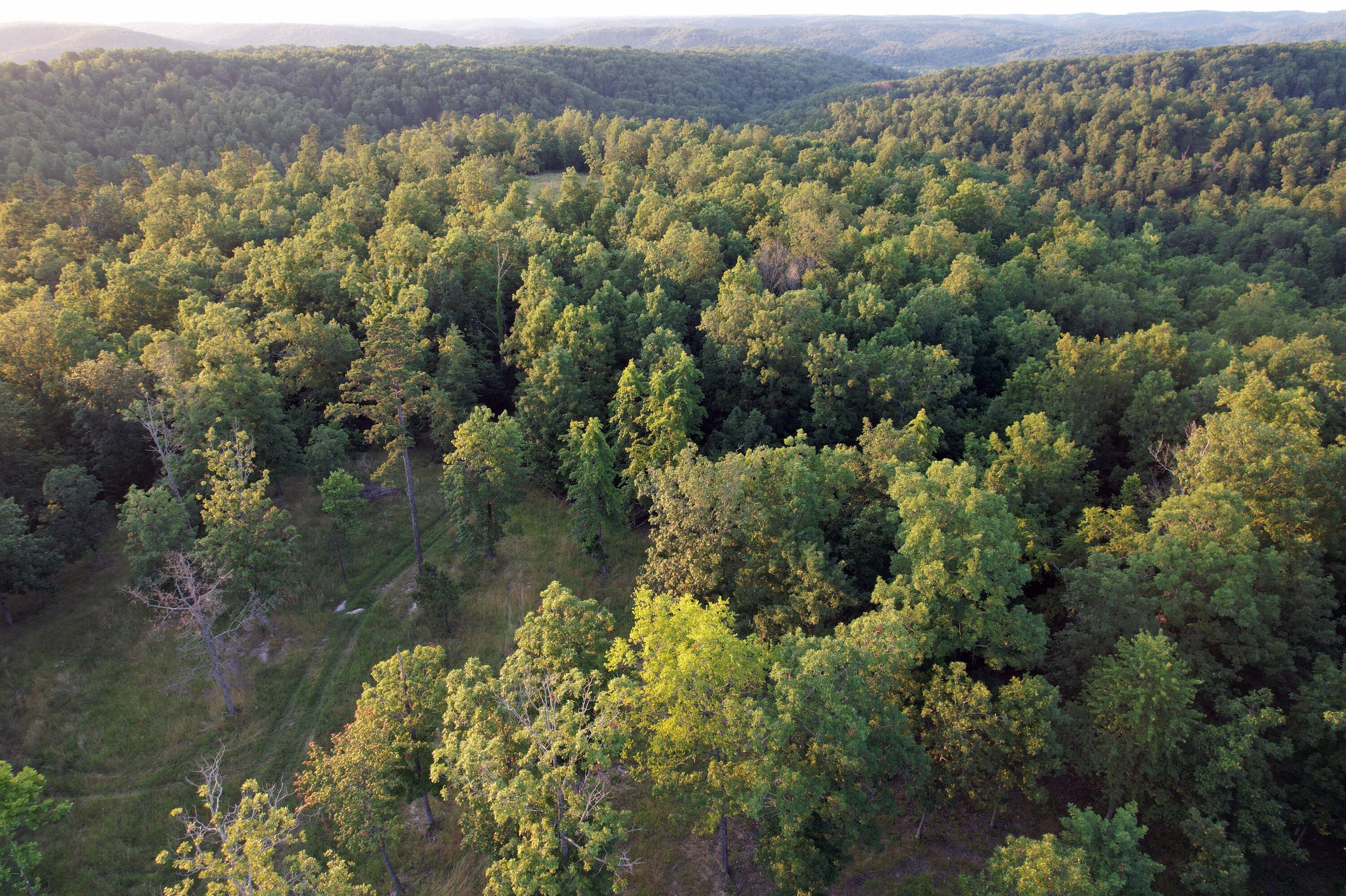 Photo 12 - Land for sale – 000  County Road 309   Eminence, MO