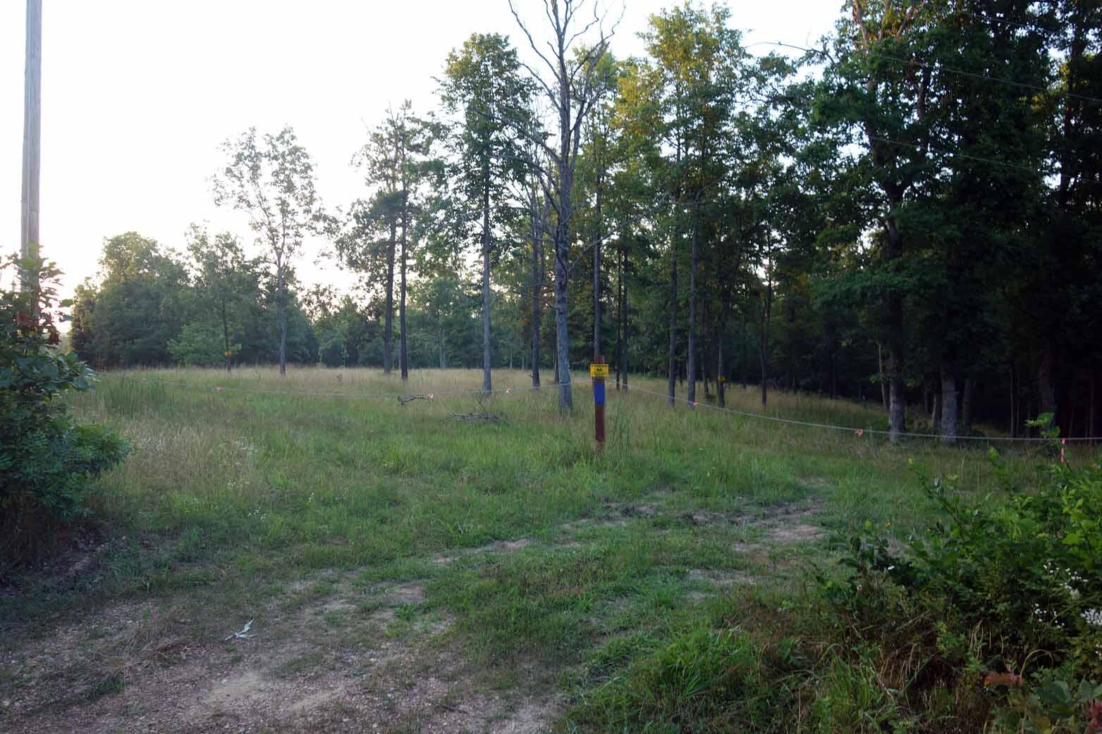 Photo 7 - Land for sale – 000  County Road 309   Eminence, MO