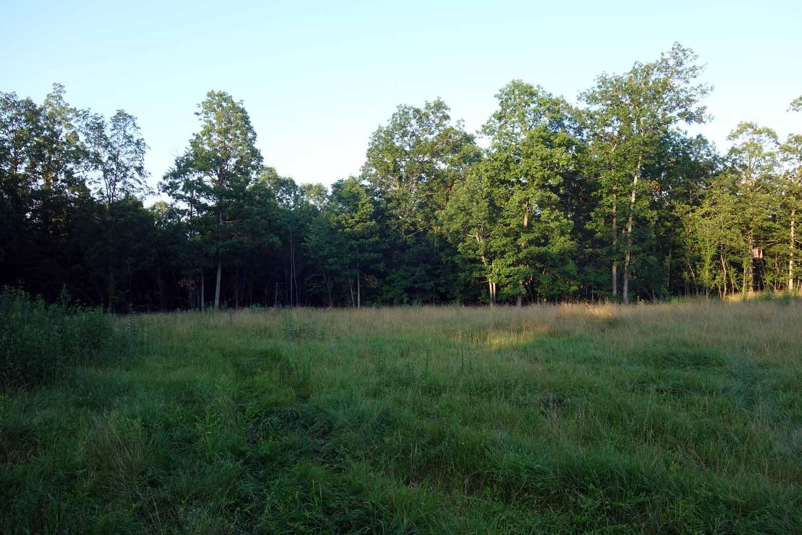 Photo 26 - Land for sale – 000  County Road 309   Eminence, MO
