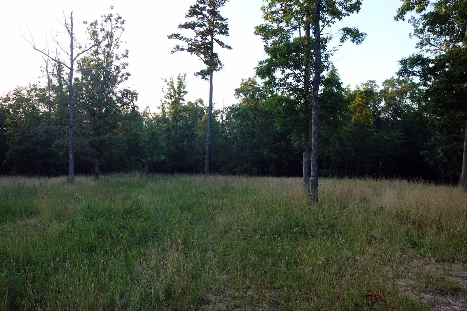 Photo 15 - Land for sale – 000  County Road 309   Eminence, MO