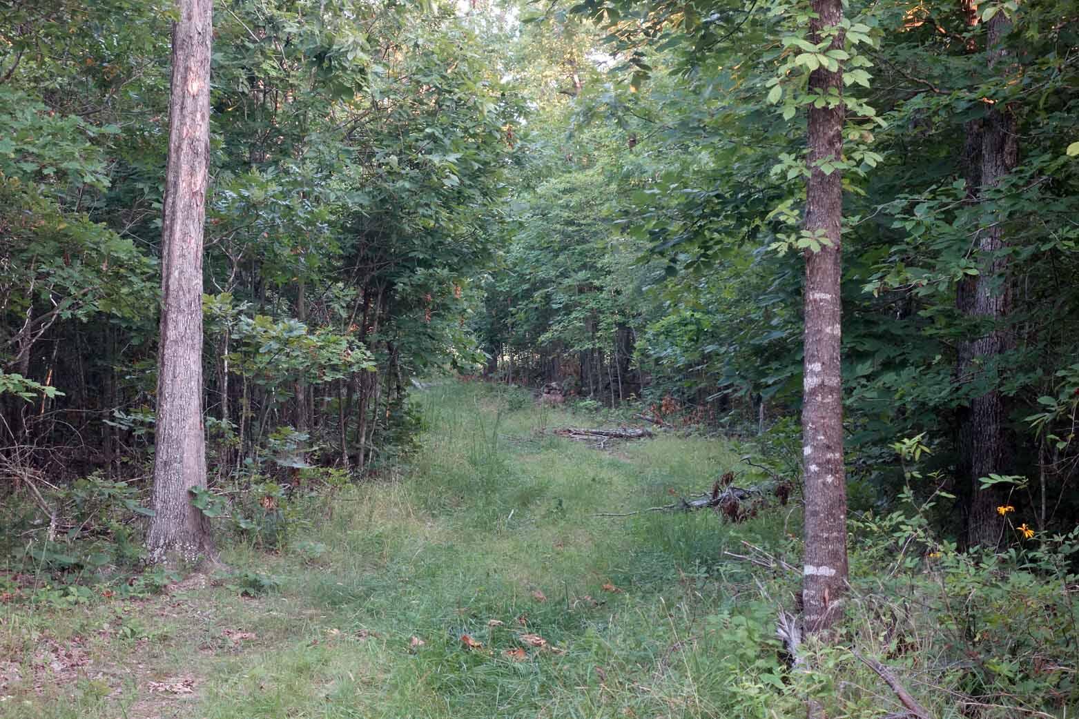 Photo 24 - Land for sale – 000  County Road 309   Eminence, MO