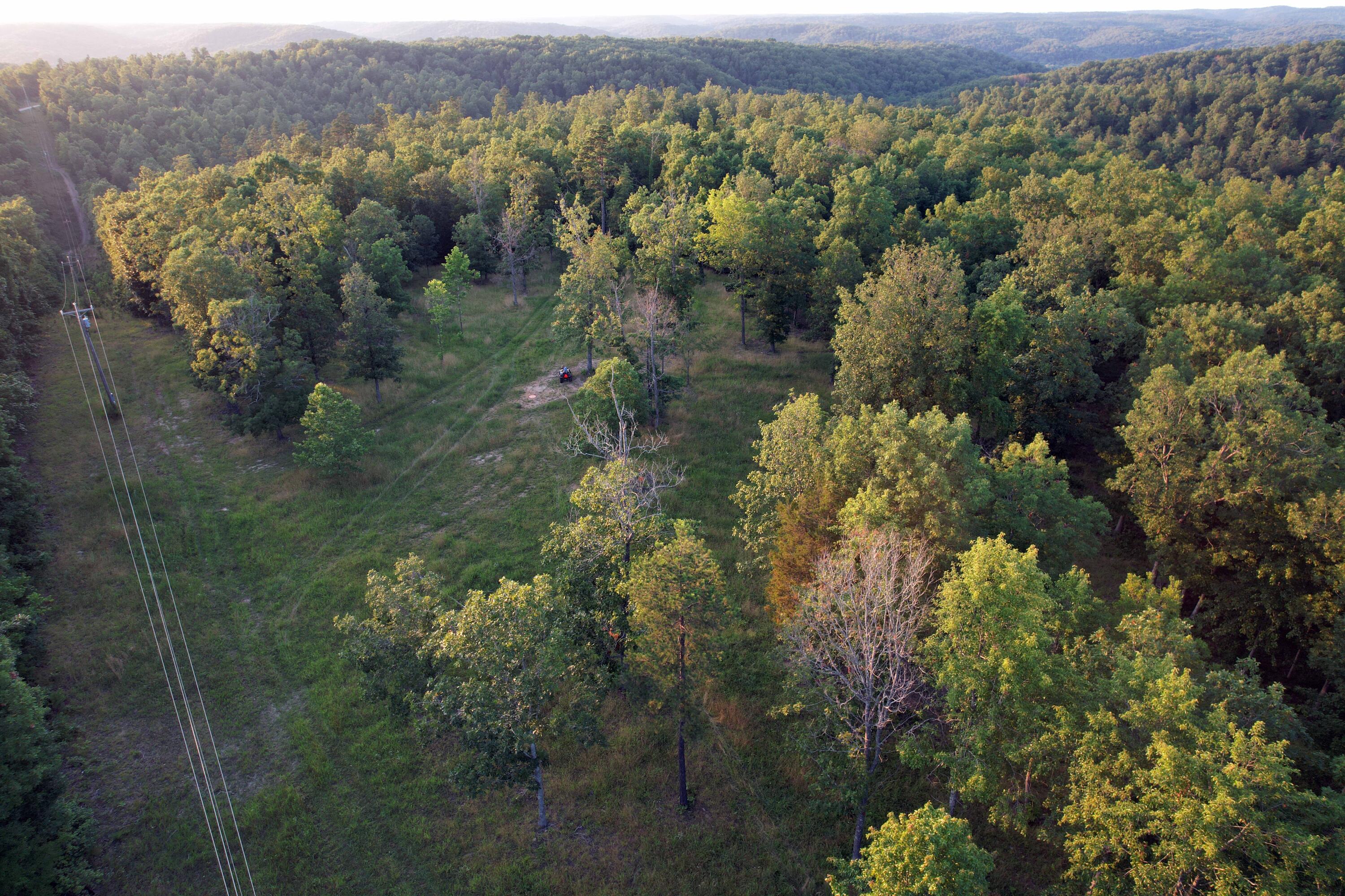 Photo 9 - Land for sale – 000  County Road 309   Eminence, MO