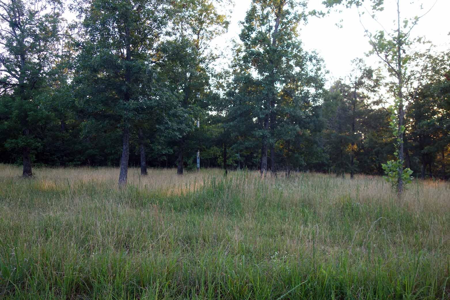 Photo 13 - Land for sale – 000  County Road 309   Eminence, MO