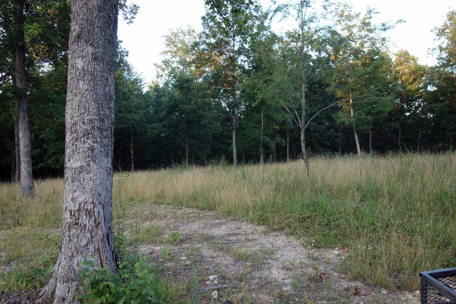 Photo 17 - Land for sale – 000  County Road 309   Eminence, MO