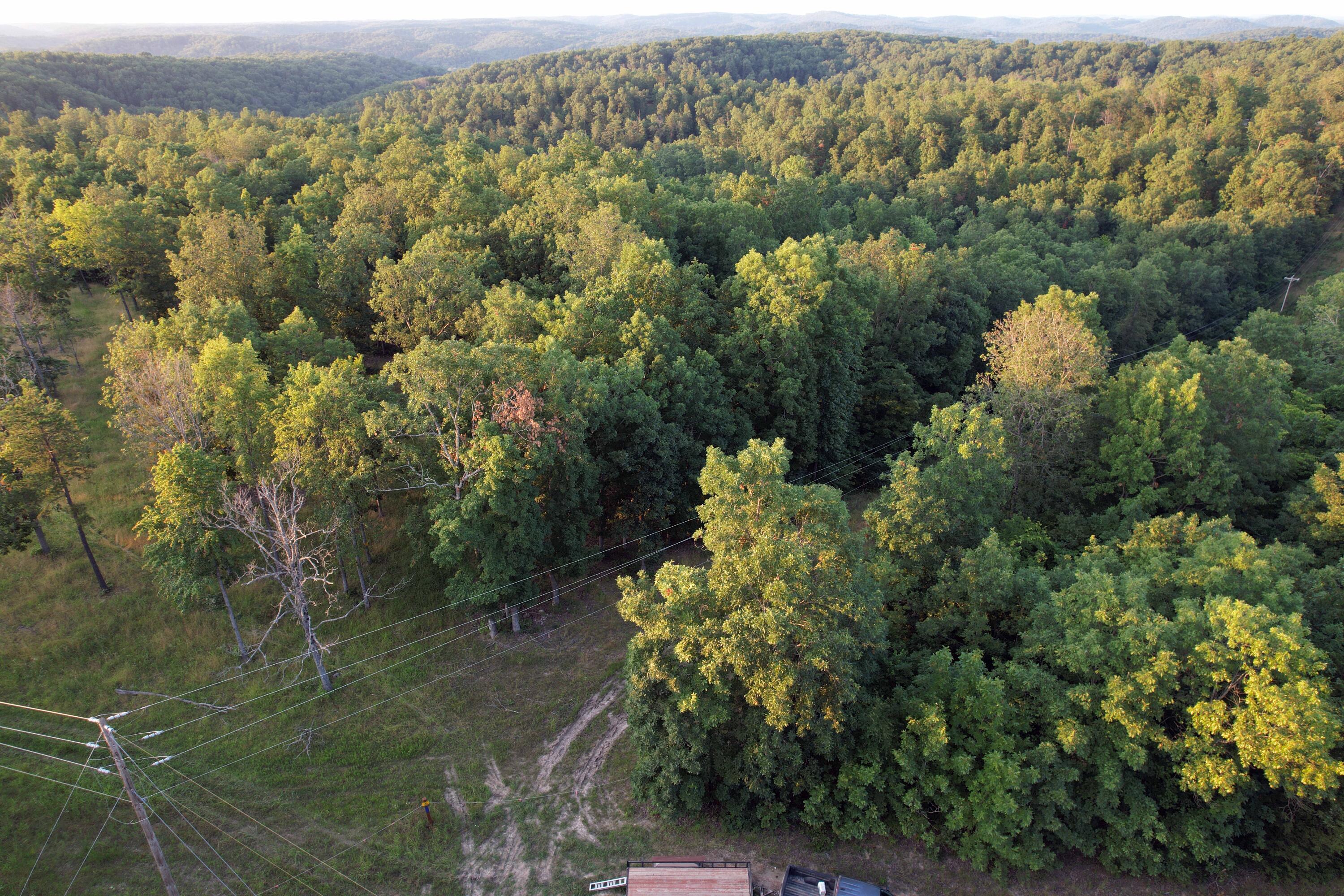 Land for sale – 000  County Road 309   Eminence, MO