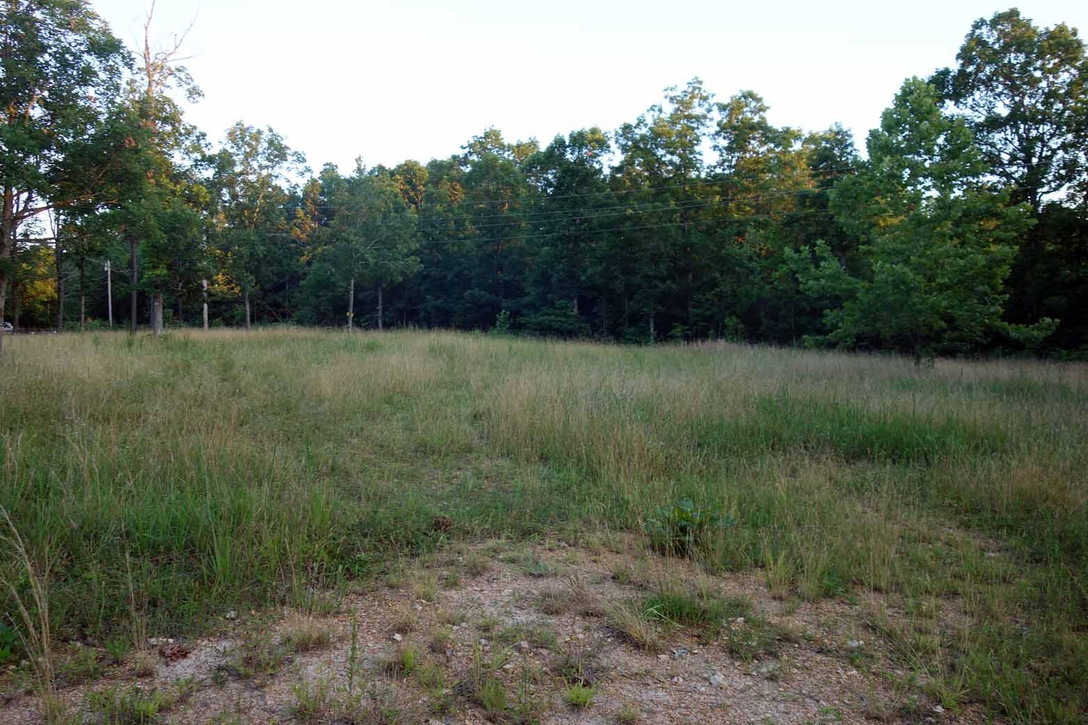 Photo 19 - Land for sale – 000  County Road 309   Eminence, MO