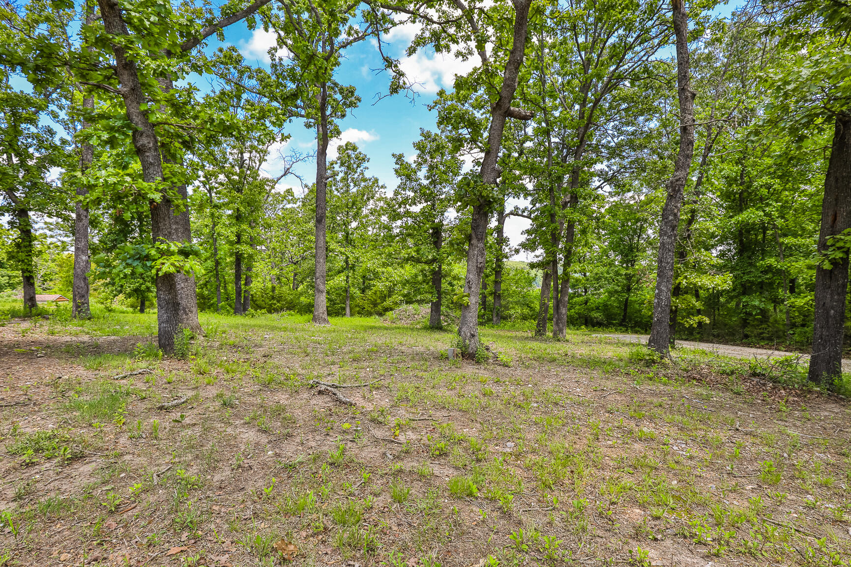 Photo 35 - Residential for sale – 3231 S 127th Road  Flemington, MO