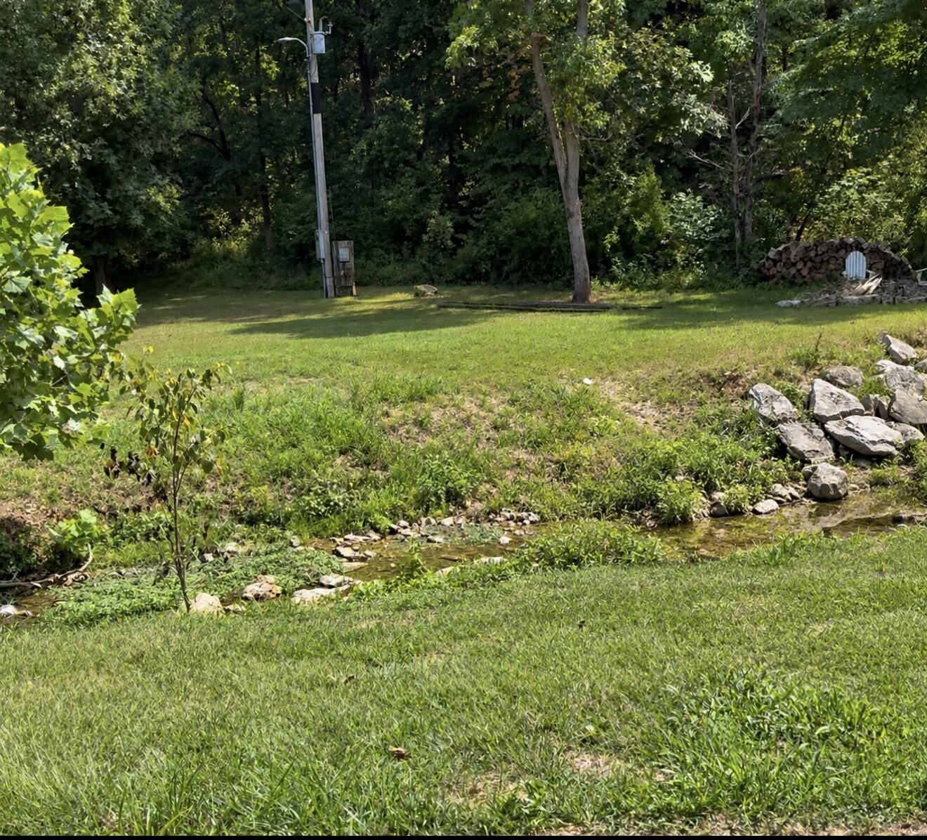 Photo 2 - Land for sale – 1392  Peace In Valley Road  Blue Eye, MO