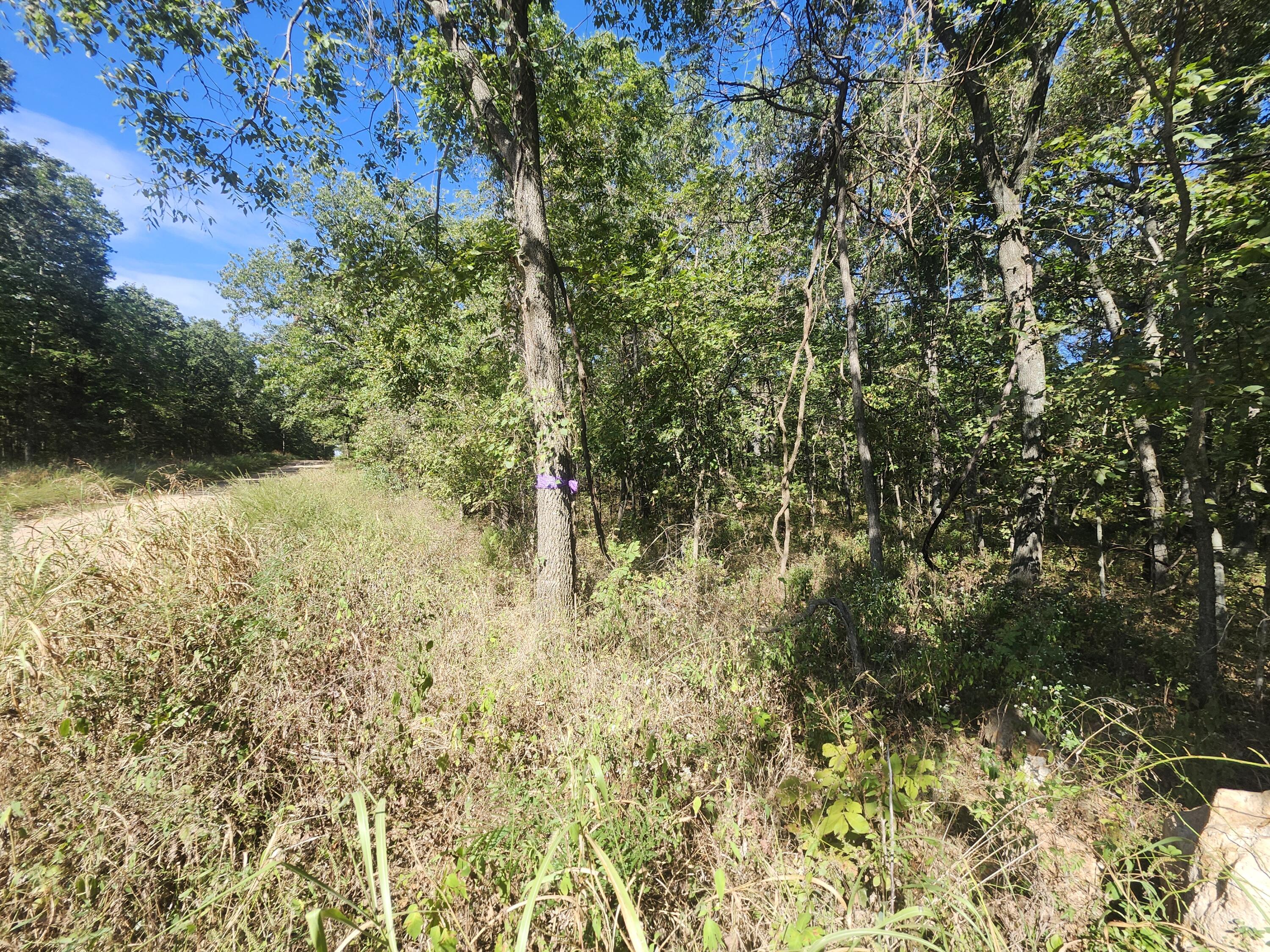 Photo 13 - Land for sale – 13239  County Road 290   Flemington, MO