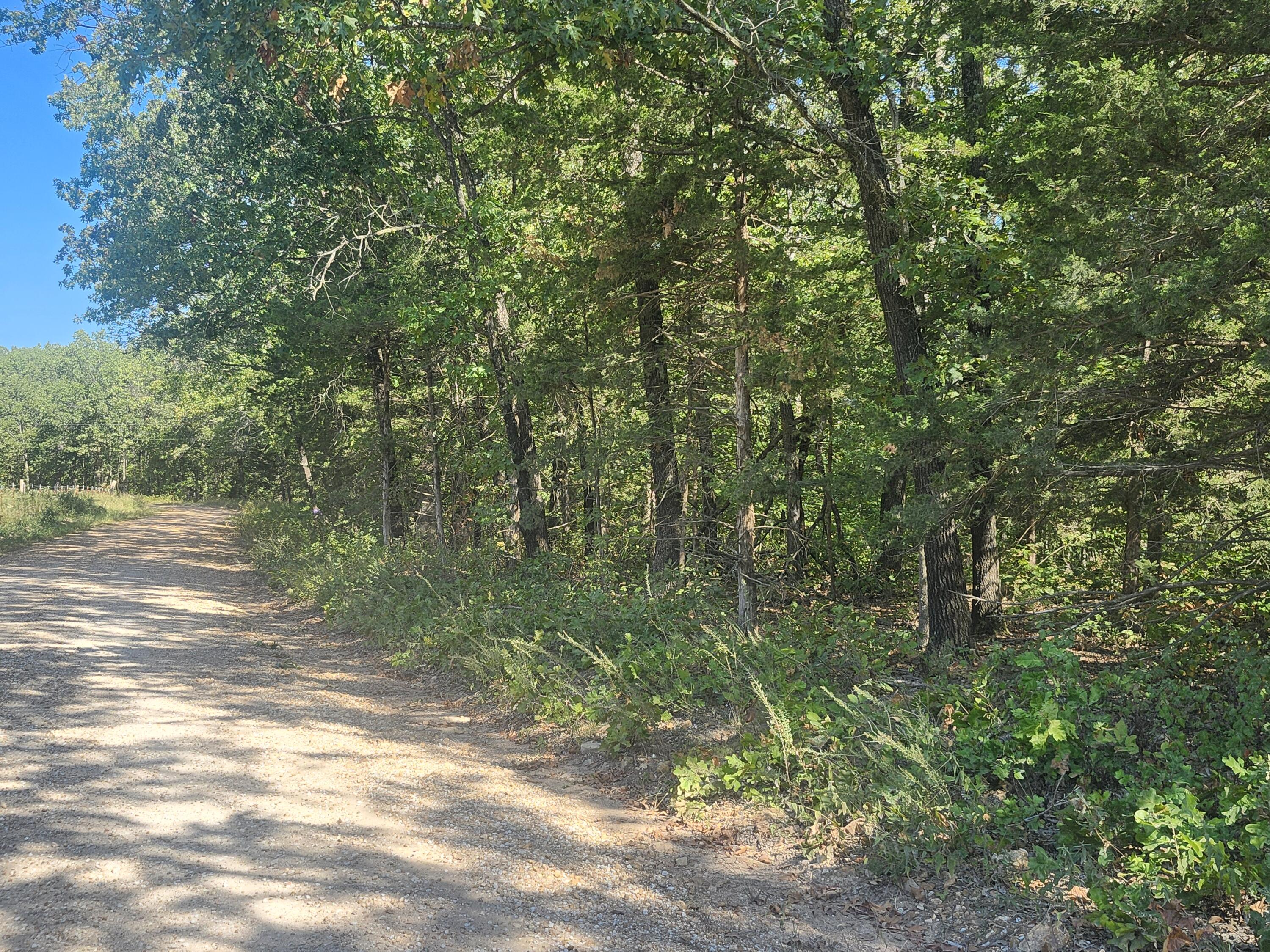 Photo 4 - Land for sale – 13239  County Road 290   Flemington, MO