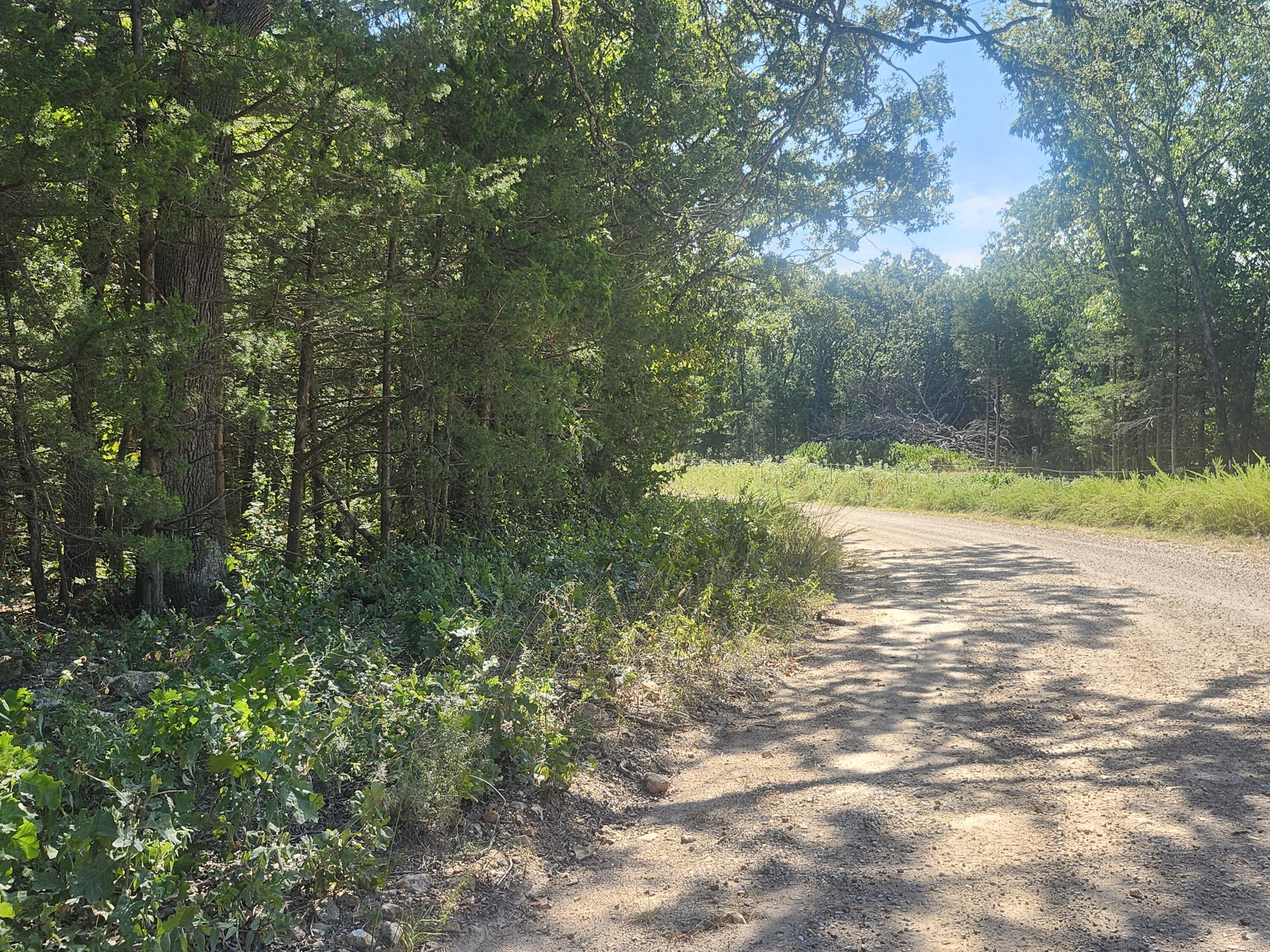 Land for sale – 13239  County Road 290   Flemington, MO