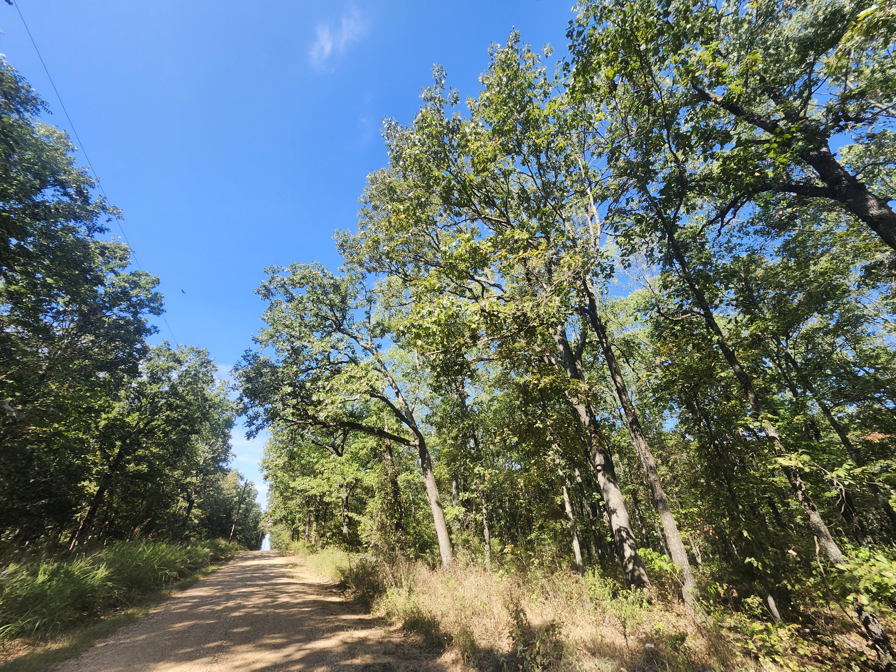 Photo 15 - Land for sale – 13239  County Road 290   Flemington, MO