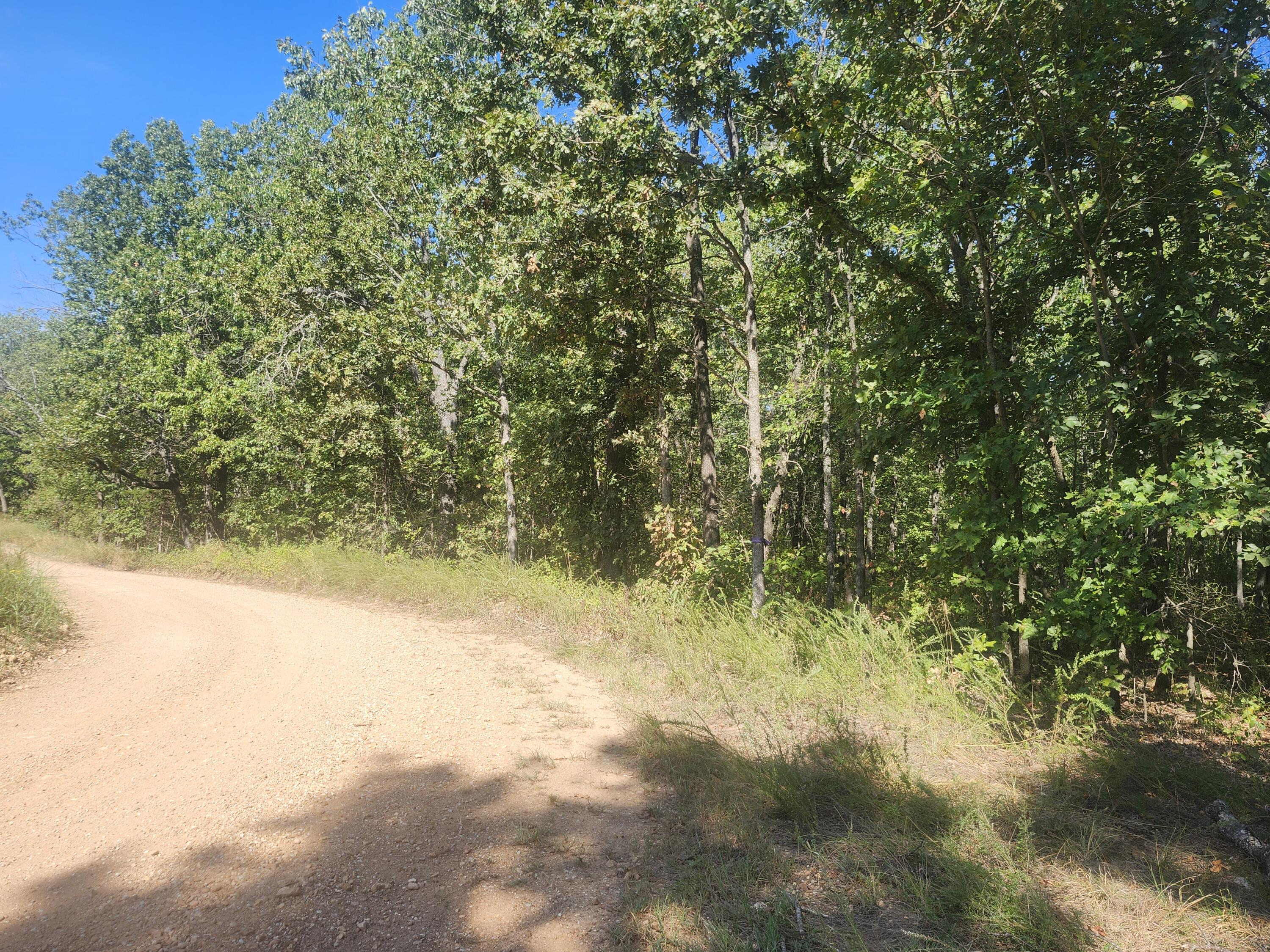 Photo 6 - Land for sale – 13239  County Road 290   Flemington, MO