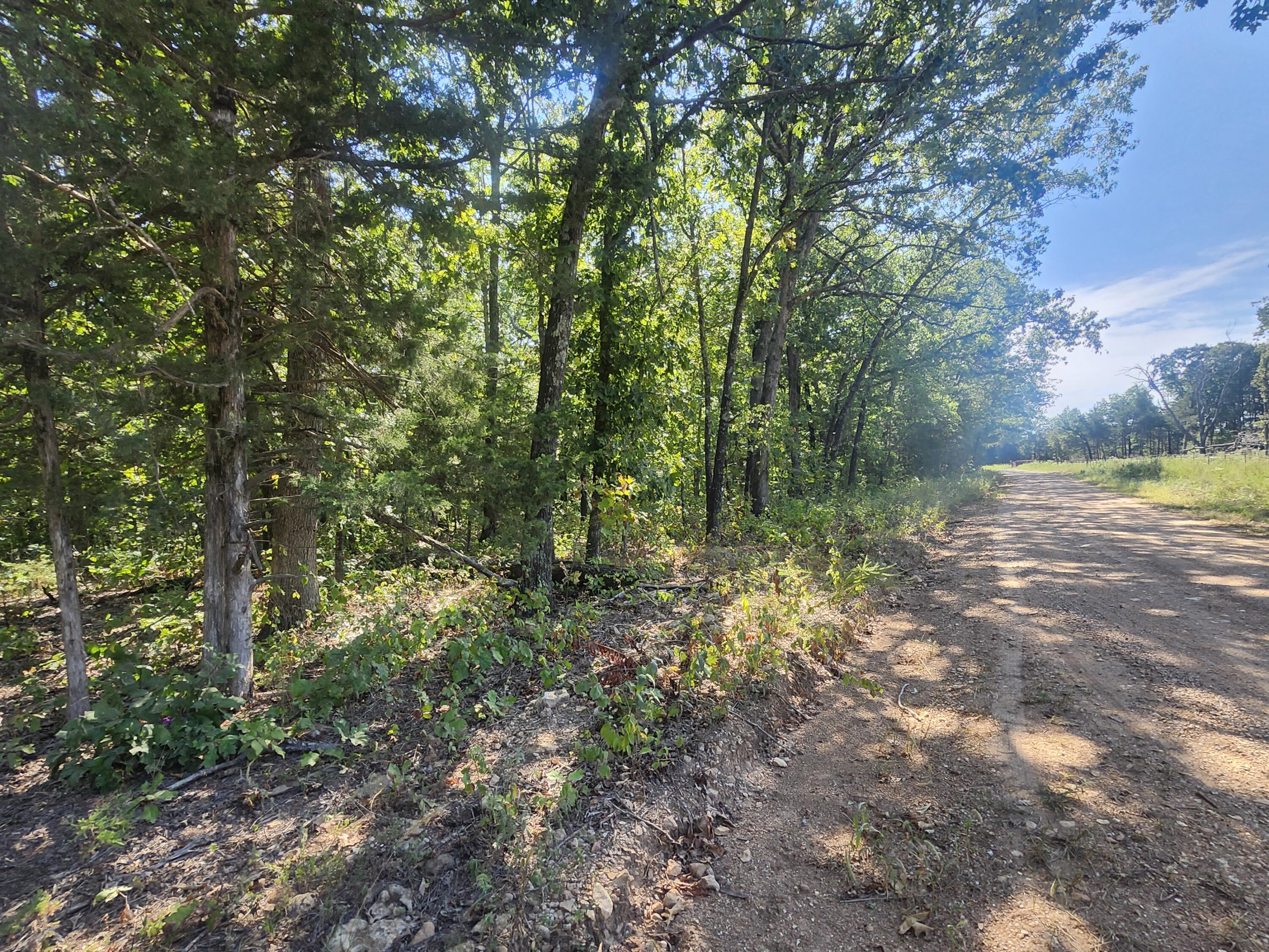 Photo 10 - Land for sale – 13239  County Road 290   Flemington, MO