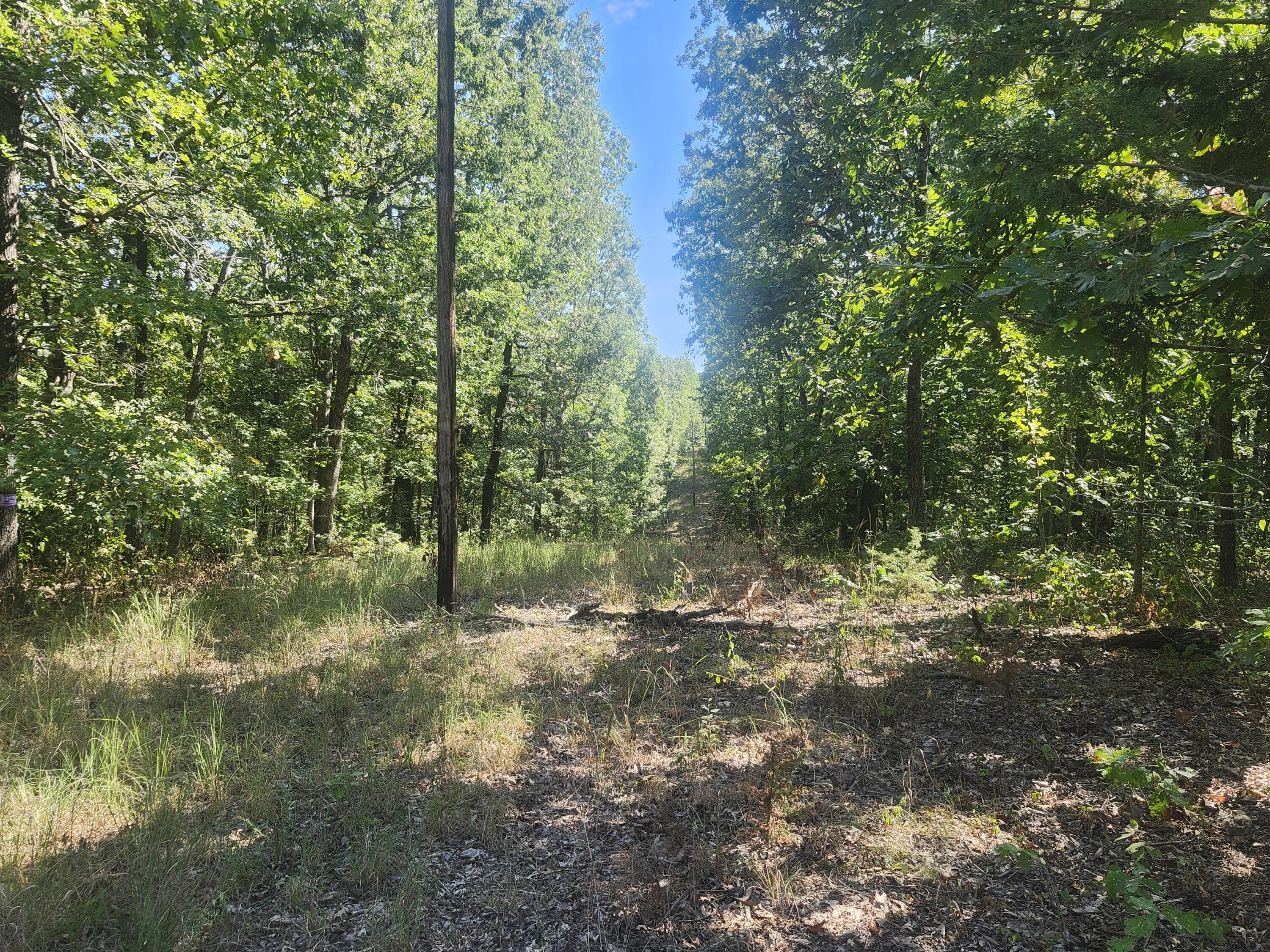 Photo 7 - Land for sale – 13239  County Road 290   Flemington, MO