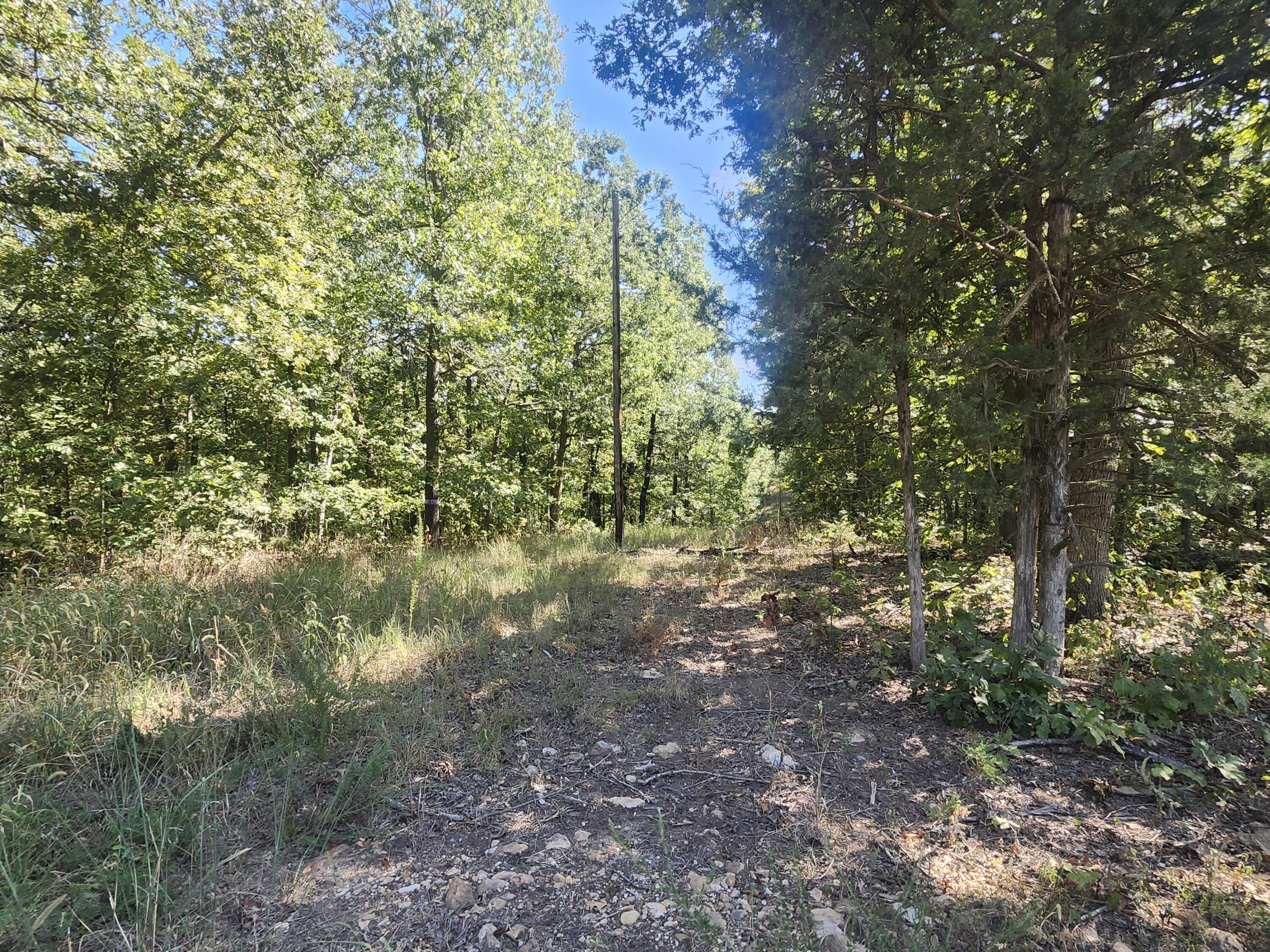 Photo 9 - Land for sale – 13239  County Road 290   Flemington, MO