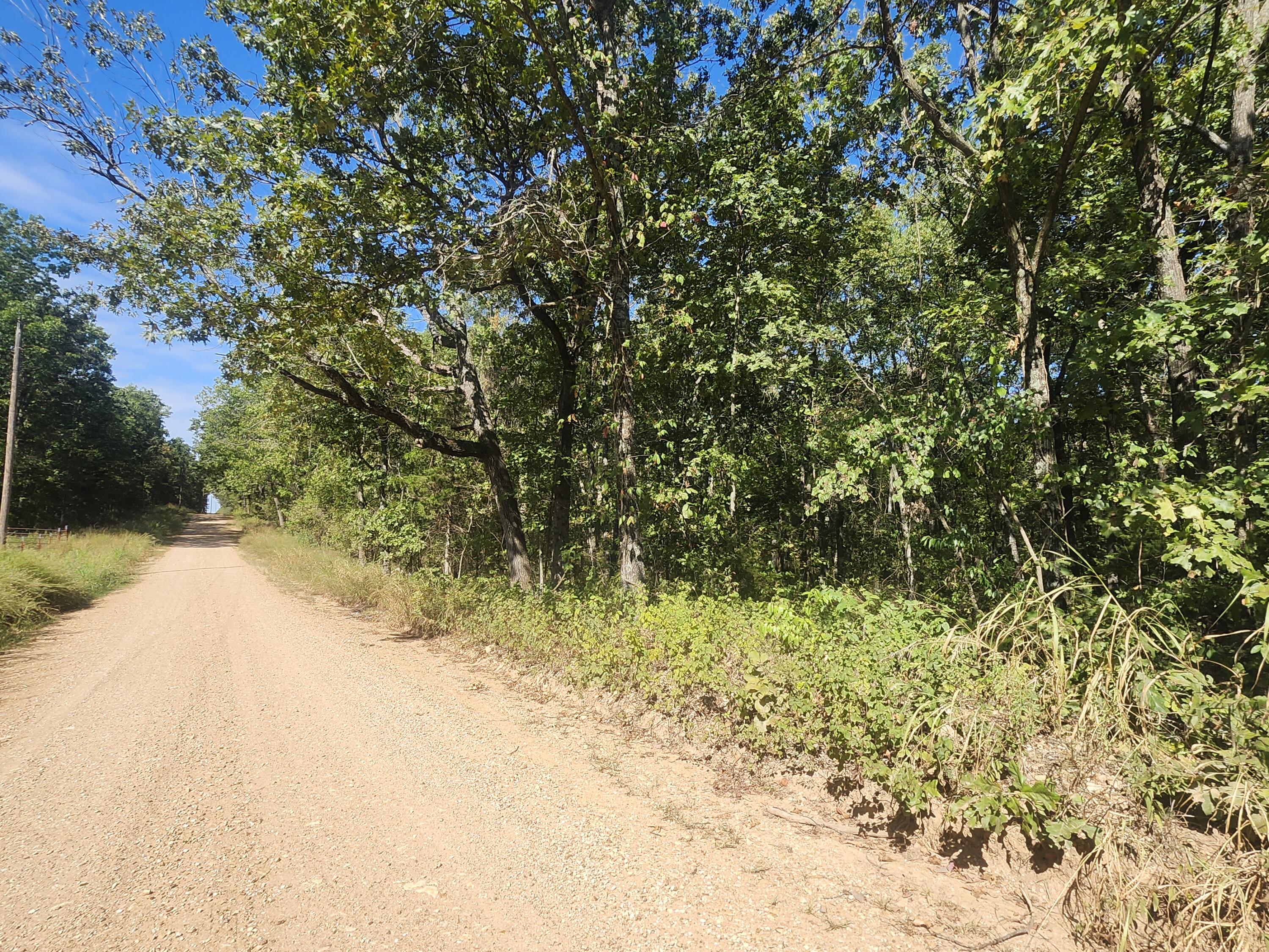 Photo 11 - Land for sale – 13239  County Road 290   Flemington, MO