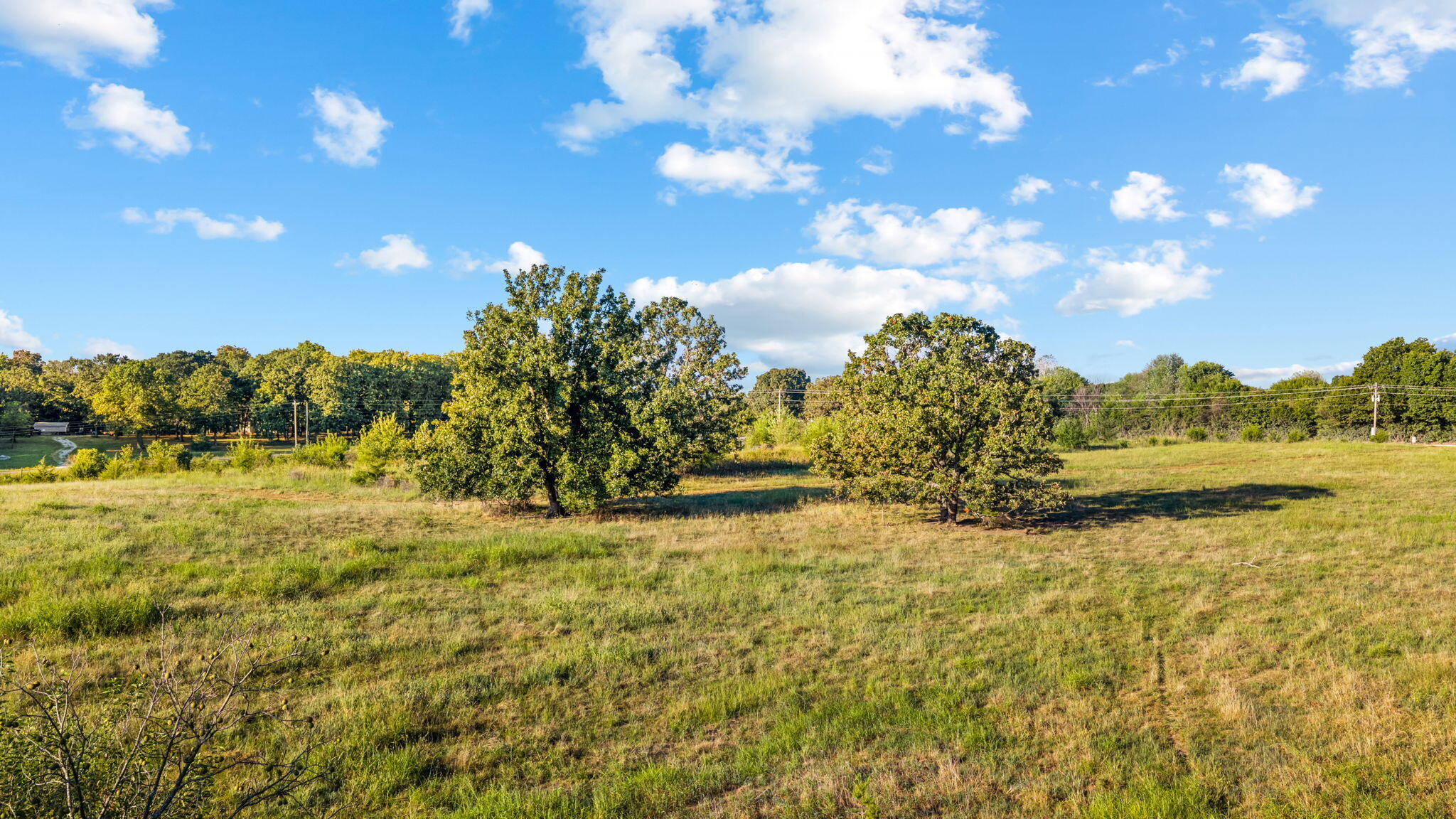 Photo 26 - Land for sale – 0003 S 1225 Road  Stockton, MO