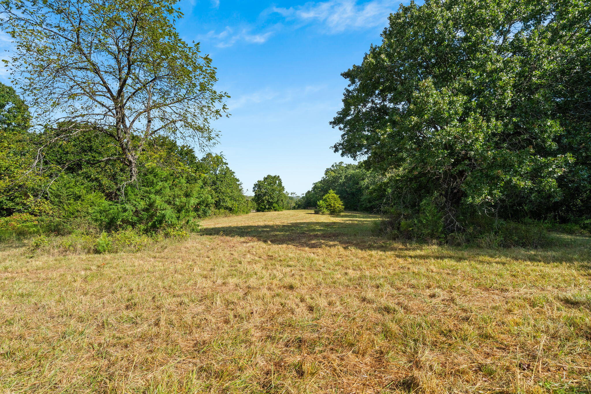 Photo 23 - Land for sale – 000  Bobcat   Rogersville, MO