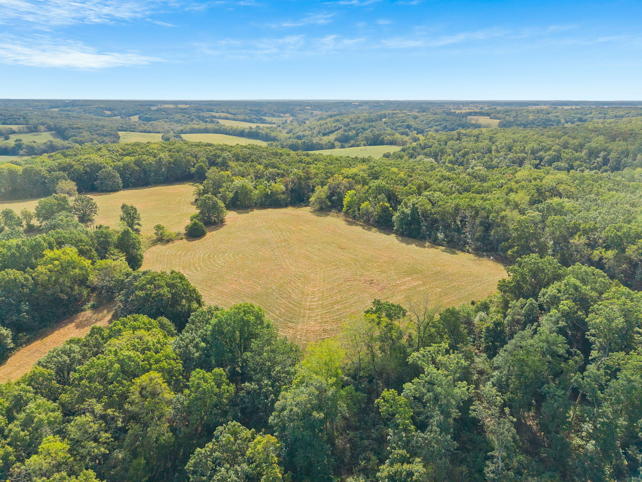 Photo 11 - Land for sale – 000  Bobcat   Rogersville, MO