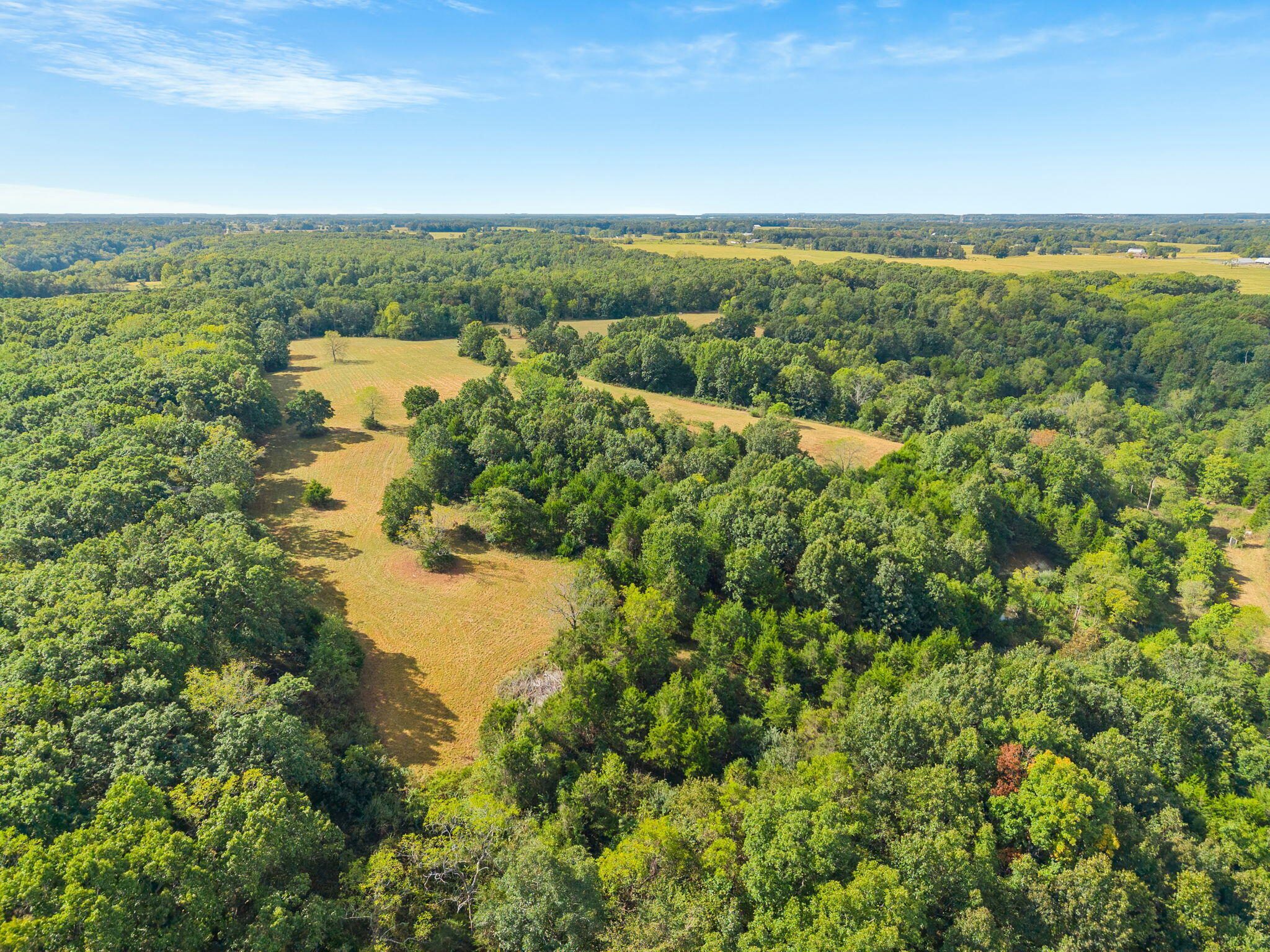 Photo 13 - Land for sale – 000  Bobcat   Rogersville, MO