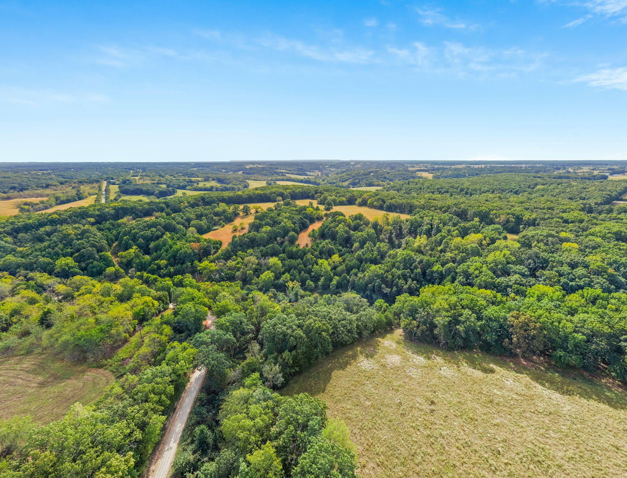 Photo 10 - Land for sale – 000  Bobcat   Rogersville, MO