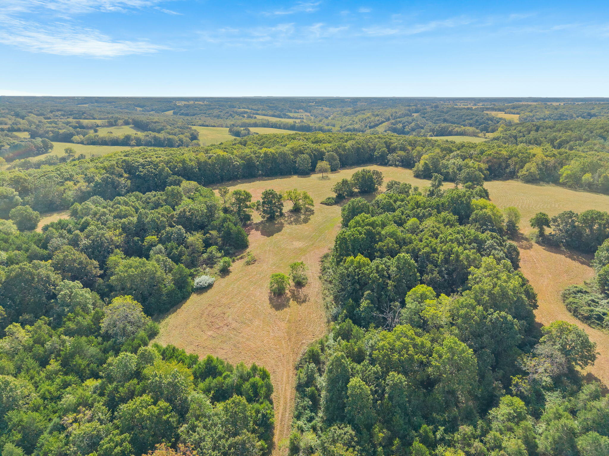 Land for sale – 000  Bobcat   Rogersville, MO
