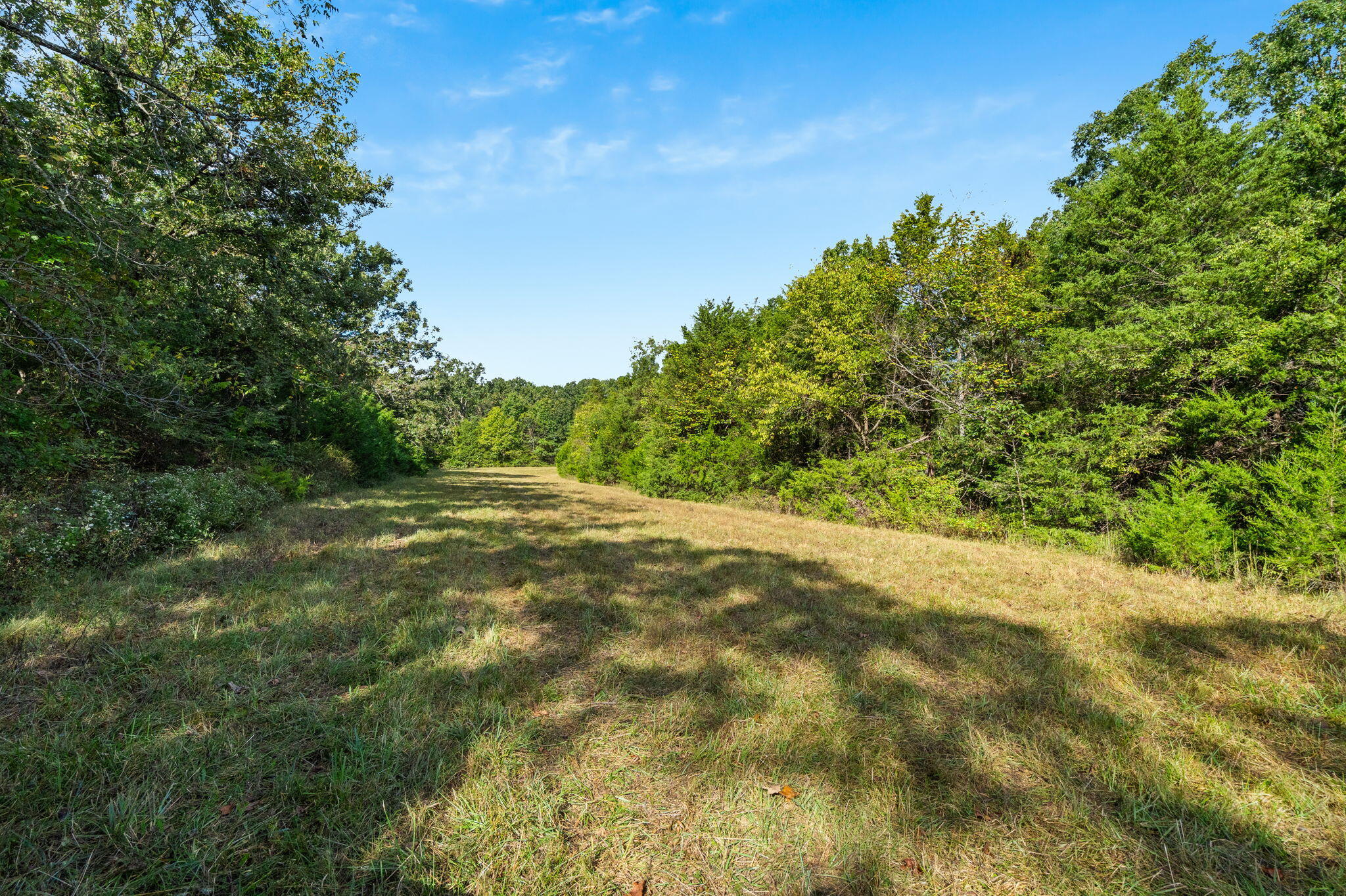 Photo 19 - Land for sale – 000  Bobcat   Rogersville, MO