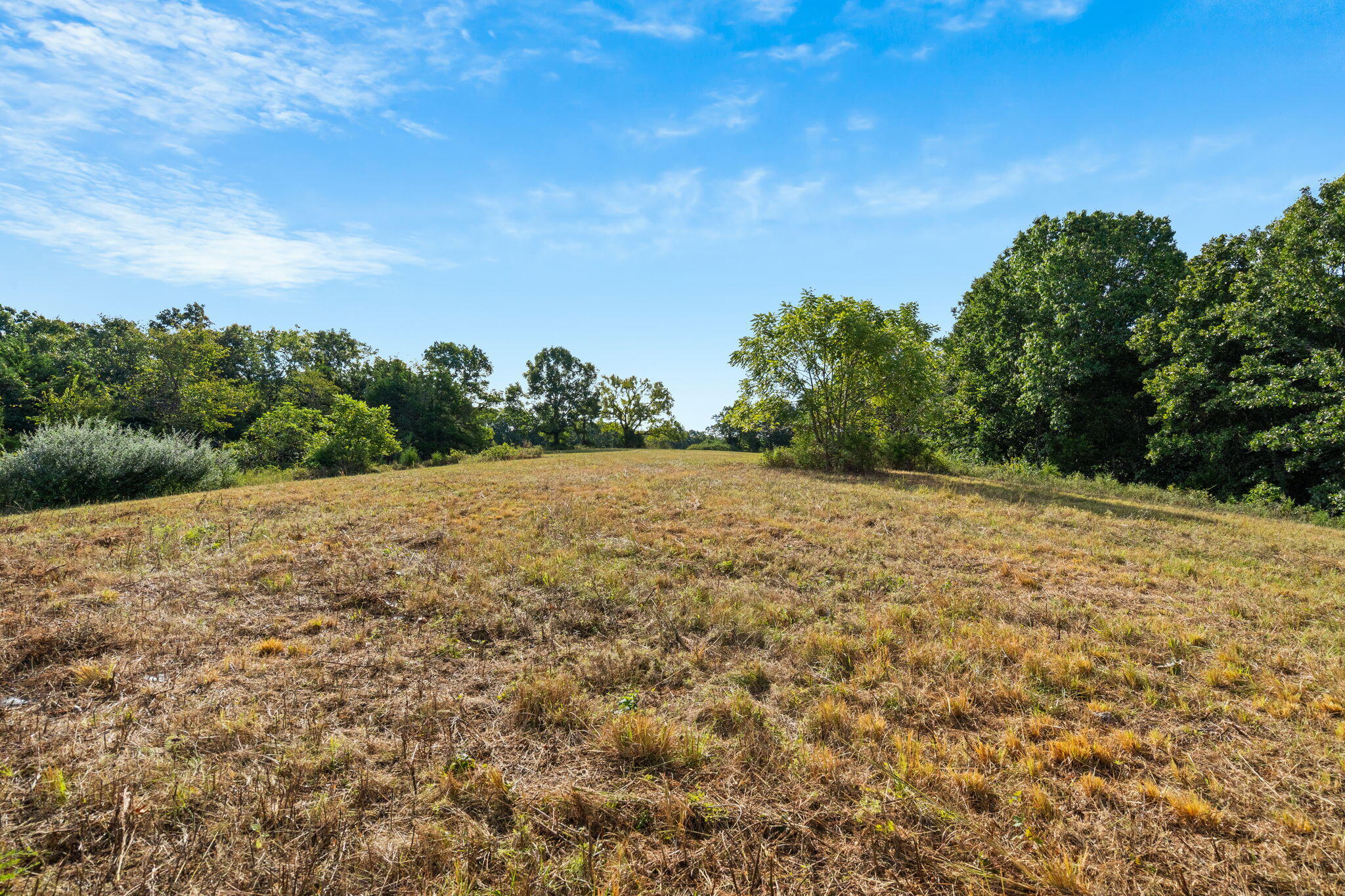 Photo 17 - Land for sale – 000  Bobcat   Rogersville, MO