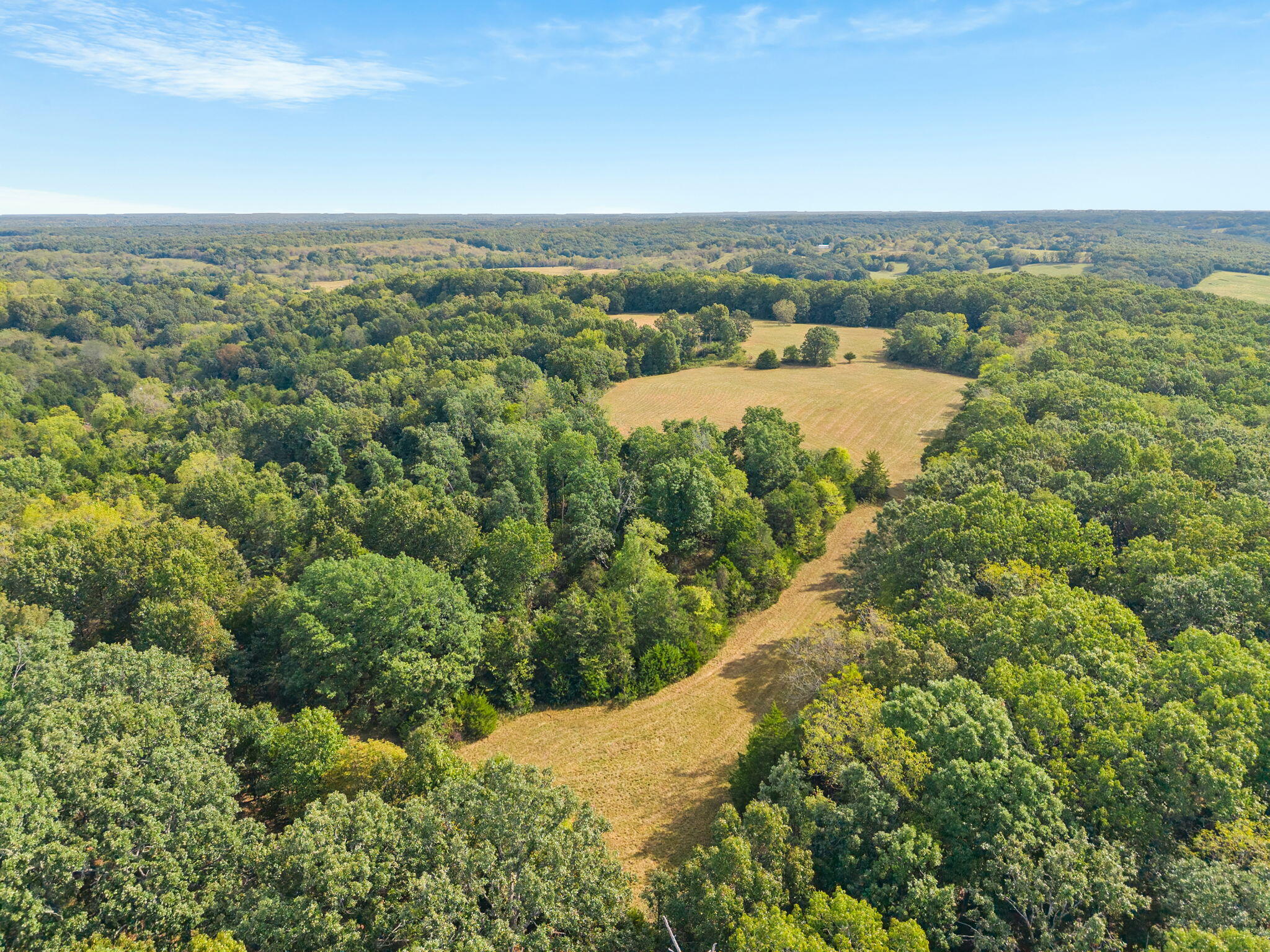 Photo 8 - Land for sale – 000  Bobcat   Rogersville, MO