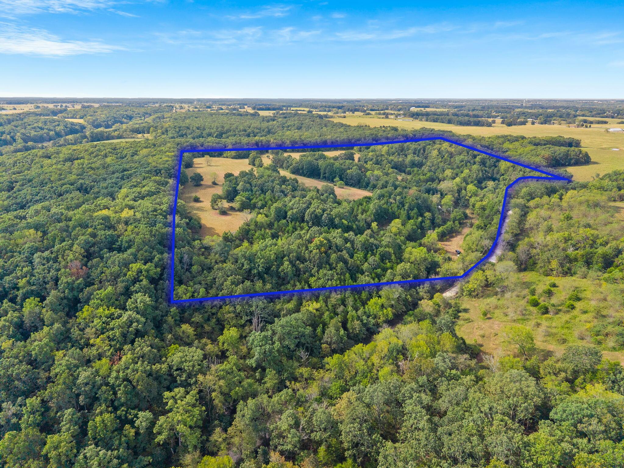 Photo 2 - Land for sale – 000  Bobcat   Rogersville, MO