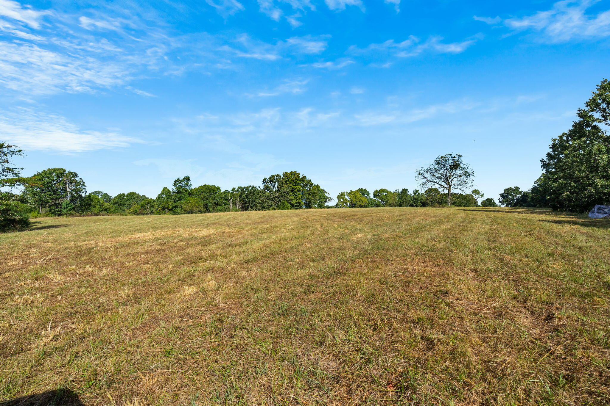 Photo 22 - Land for sale – 000  Bobcat   Rogersville, MO