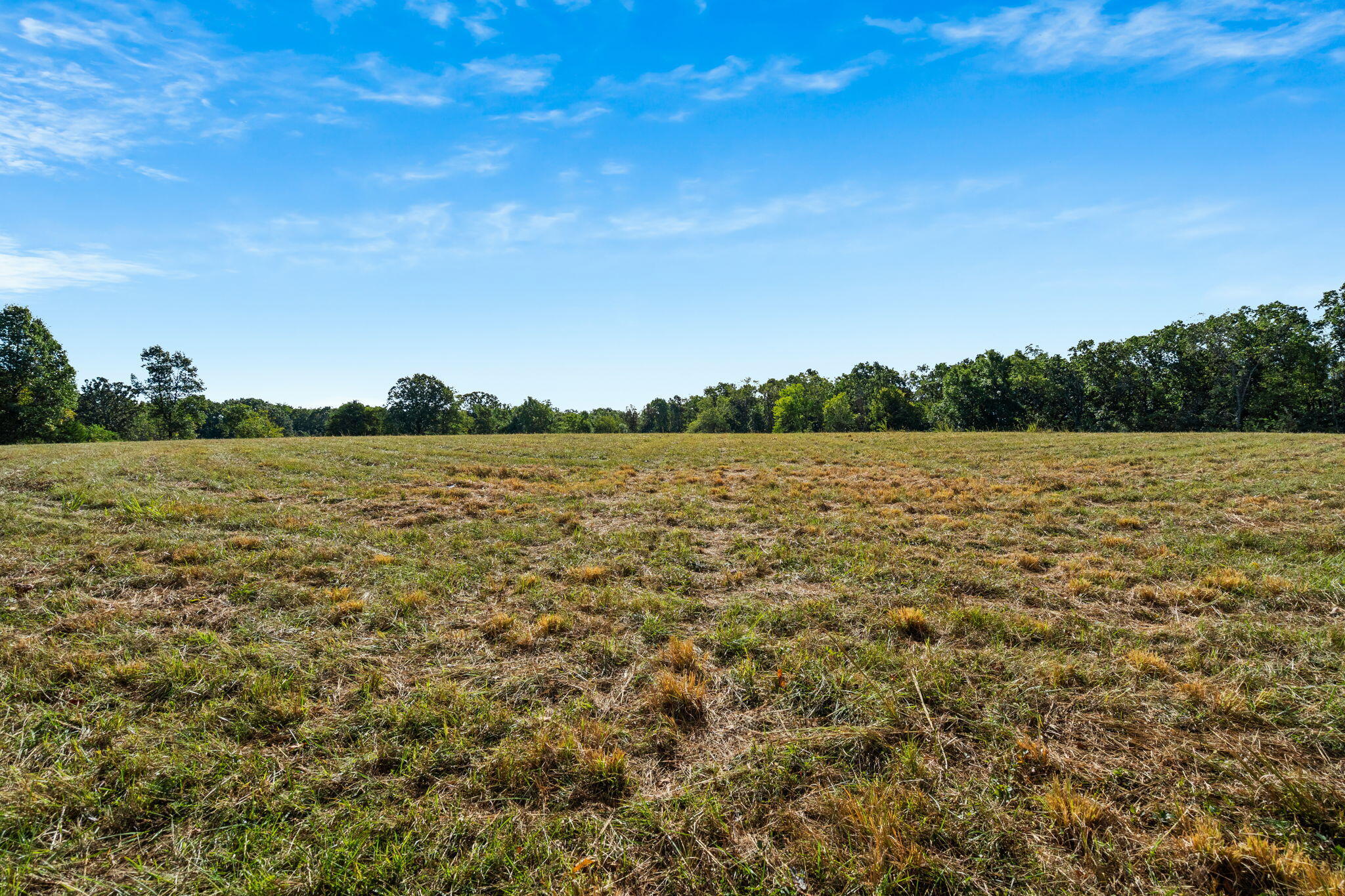 Photo 18 - Land for sale – 000  Bobcat   Rogersville, MO