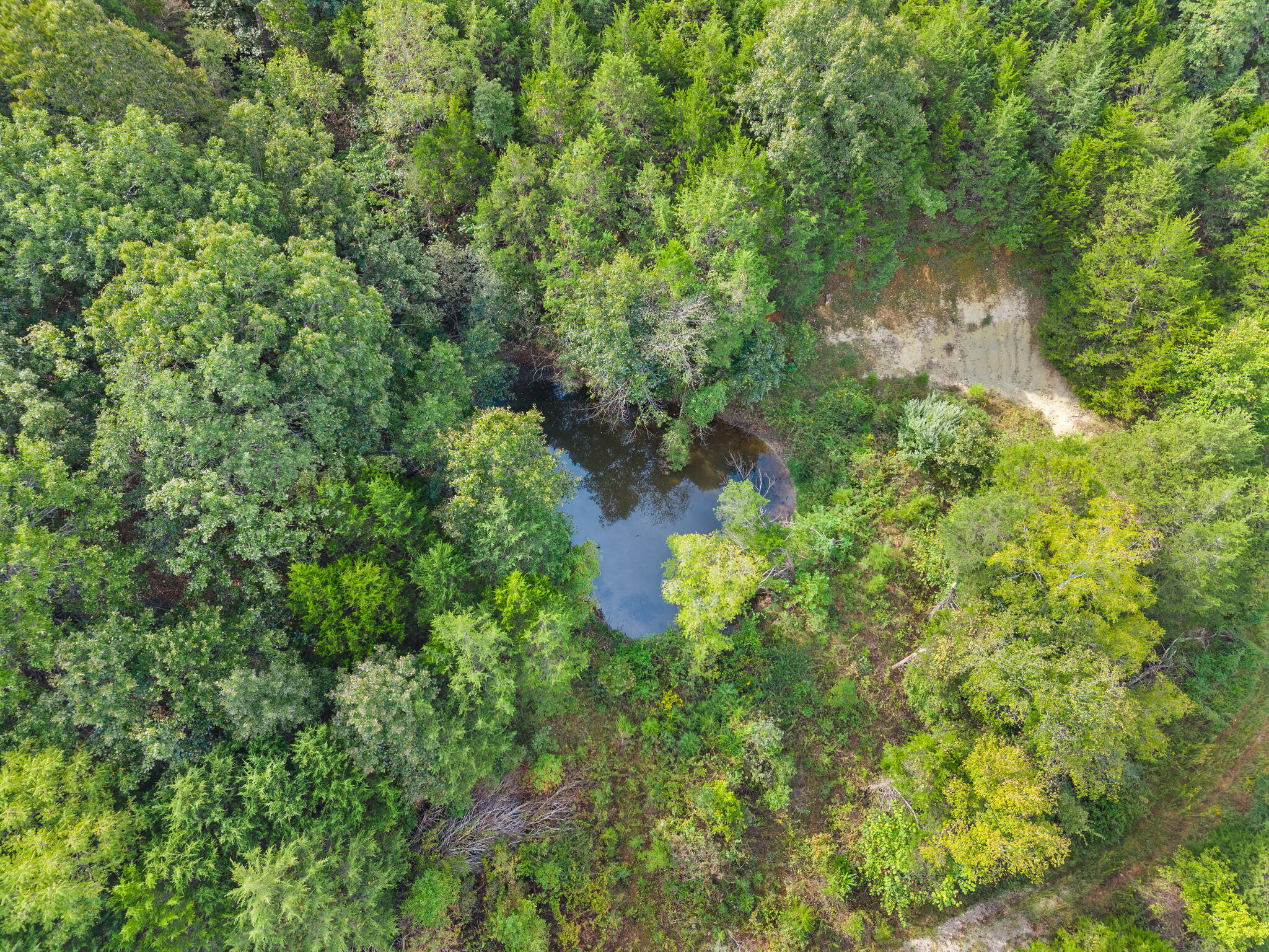 Photo 5 - Land for sale – 000  Bobcat   Rogersville, MO
