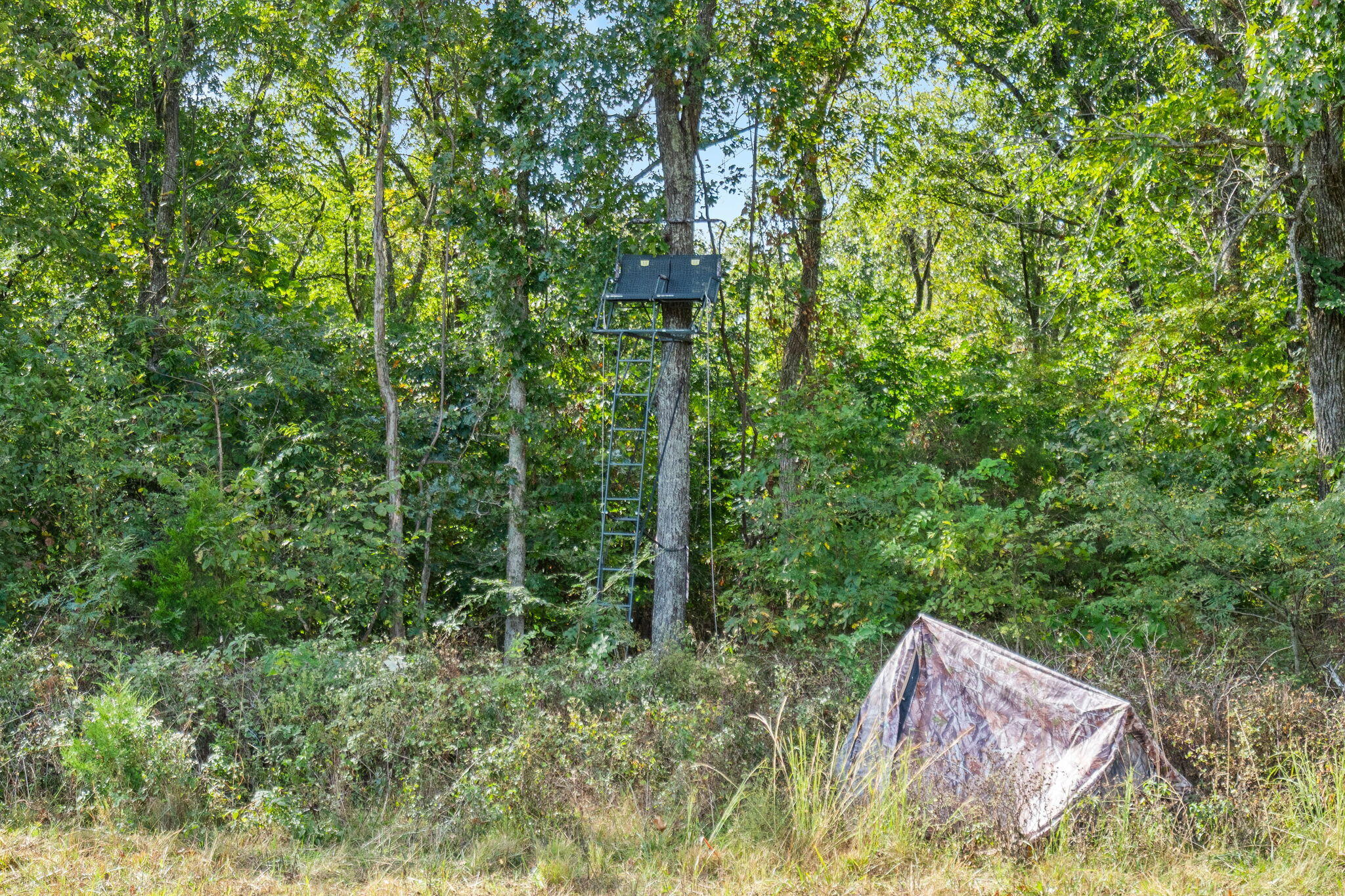 Photo 21 - Land for sale – 000  Bobcat   Rogersville, MO