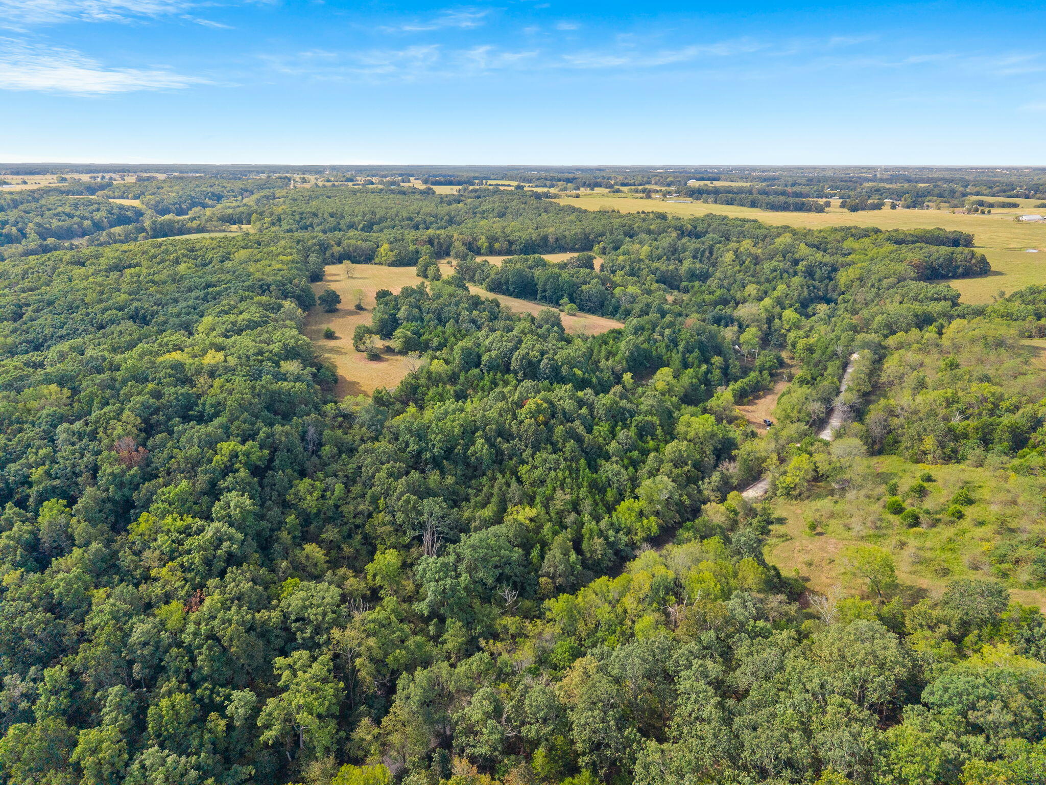 Photo 7 - Land for sale – 000  Bobcat   Rogersville, MO