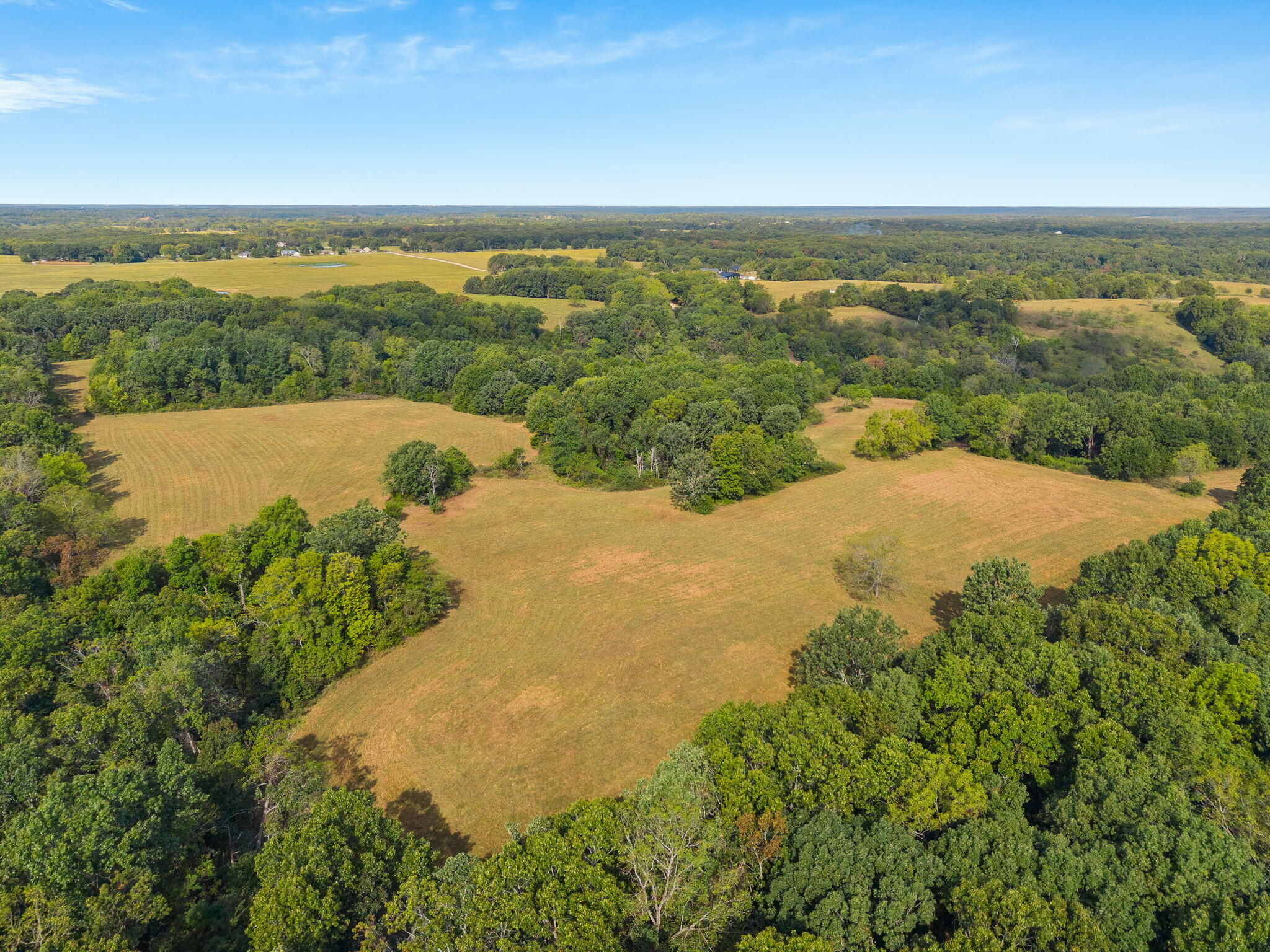 Photo 3 - Land for sale – 000  Bobcat   Rogersville, MO