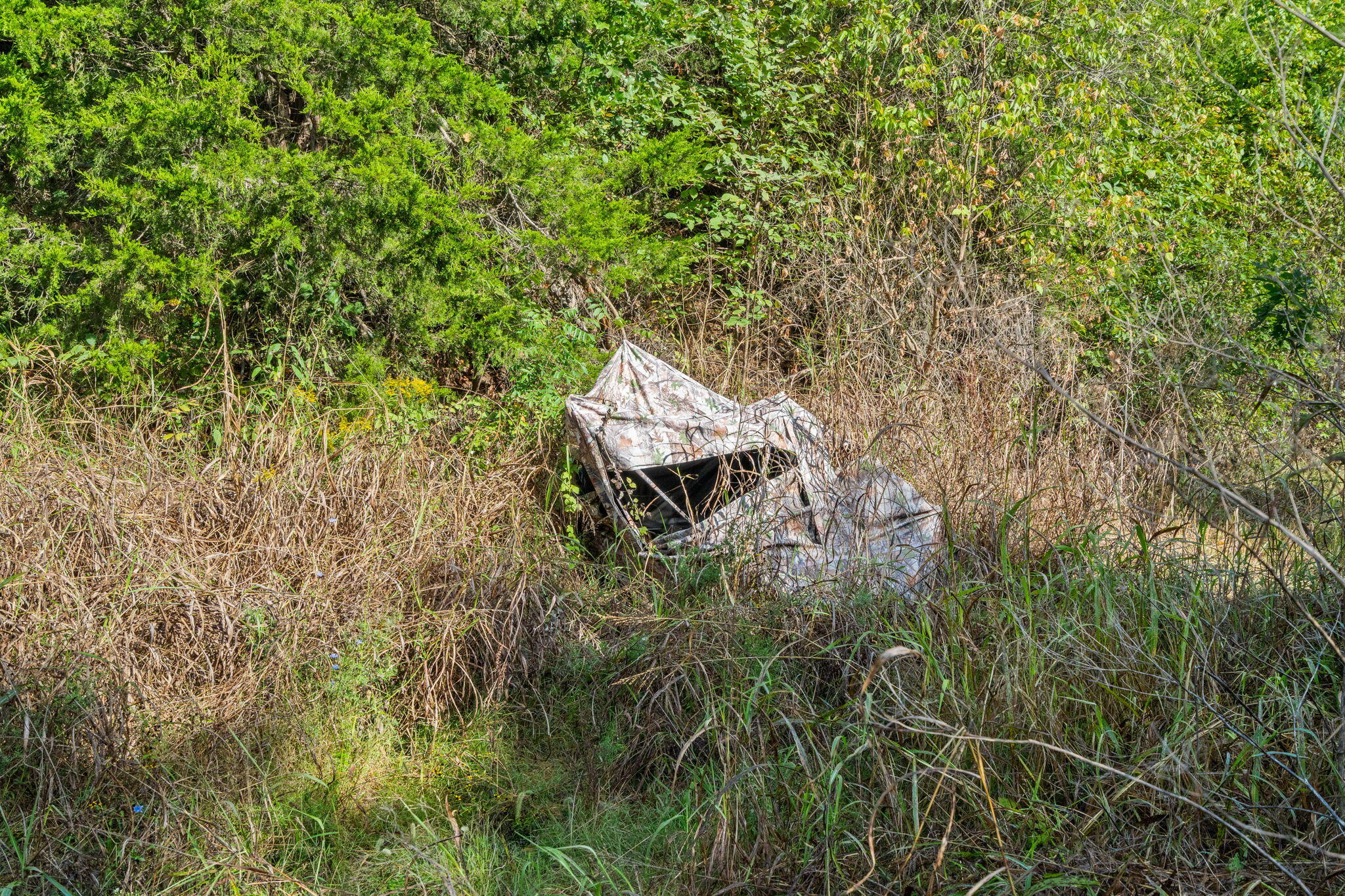 Photo 16 - Land for sale – 000  Bobcat   Rogersville, MO